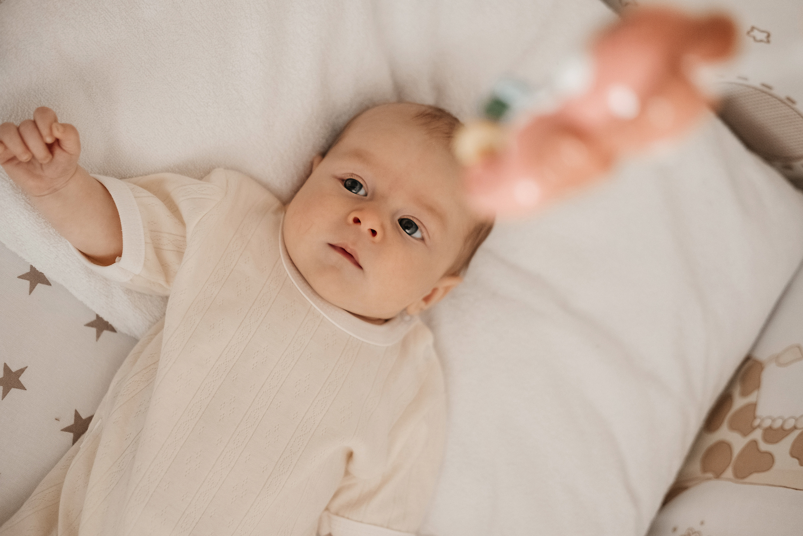 Платон. Семейный и свадебный фотограф Новосибирск