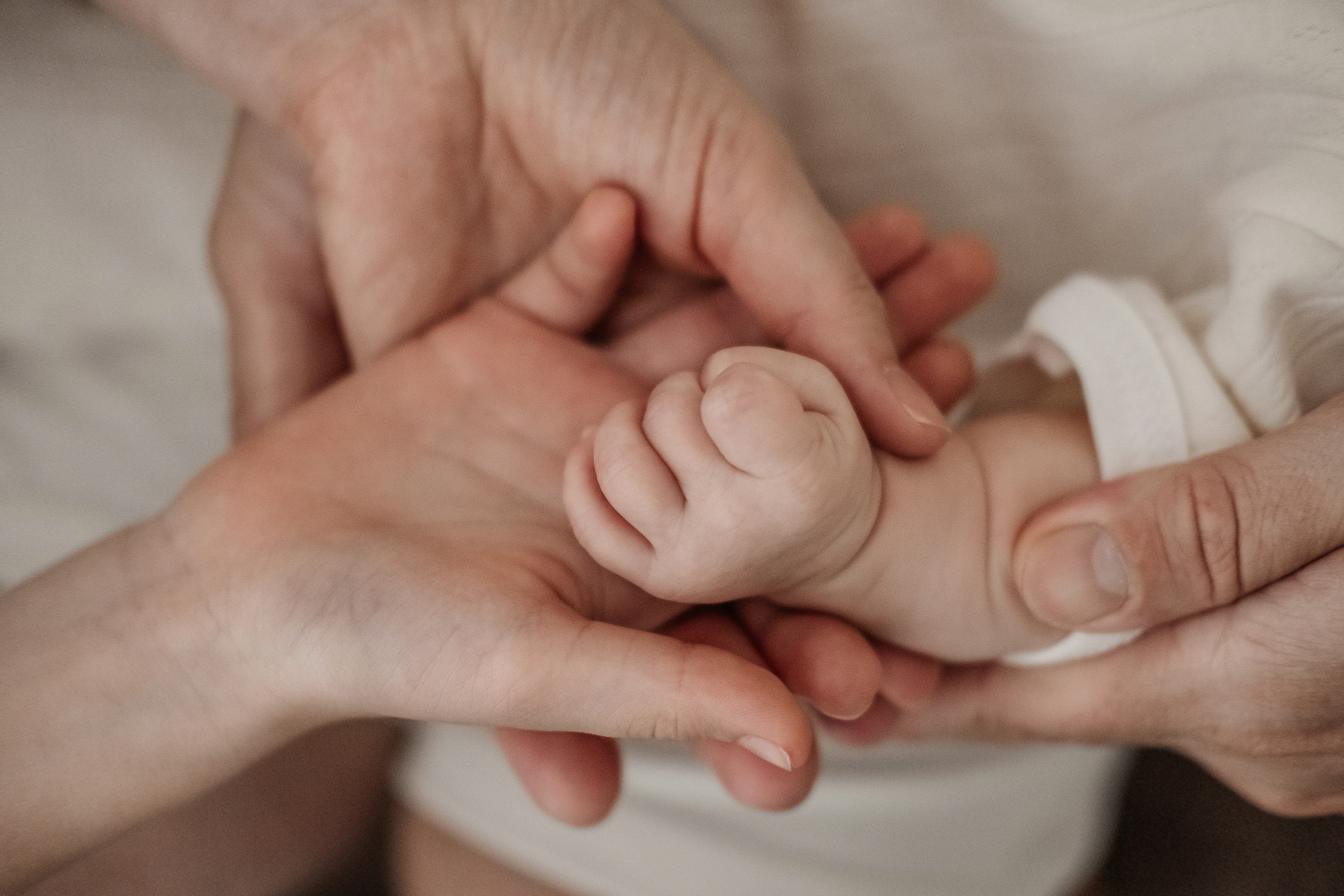 Платон. Семейный и свадебный фотограф Новосибирск