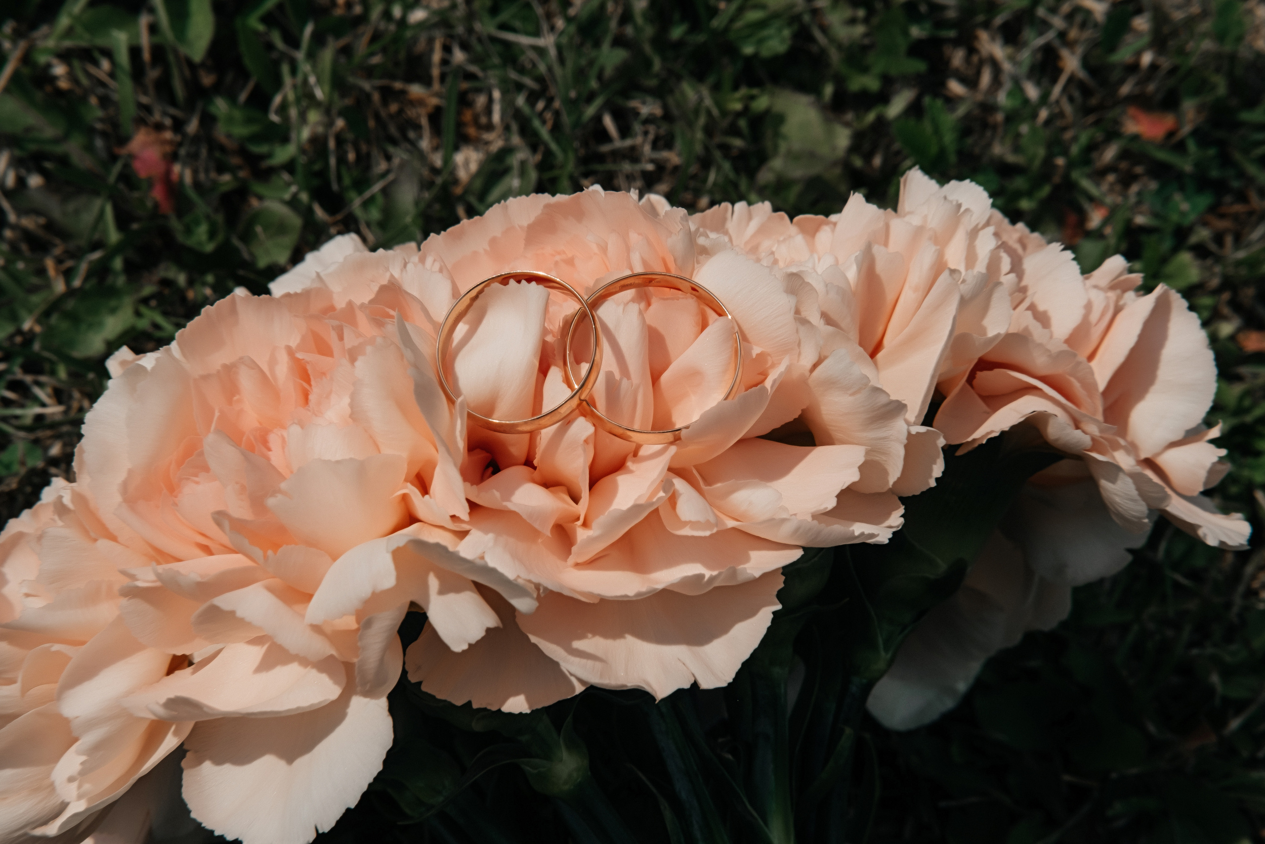 Ирина & Никита. Семейный и свадебный фотограф Новосибирск