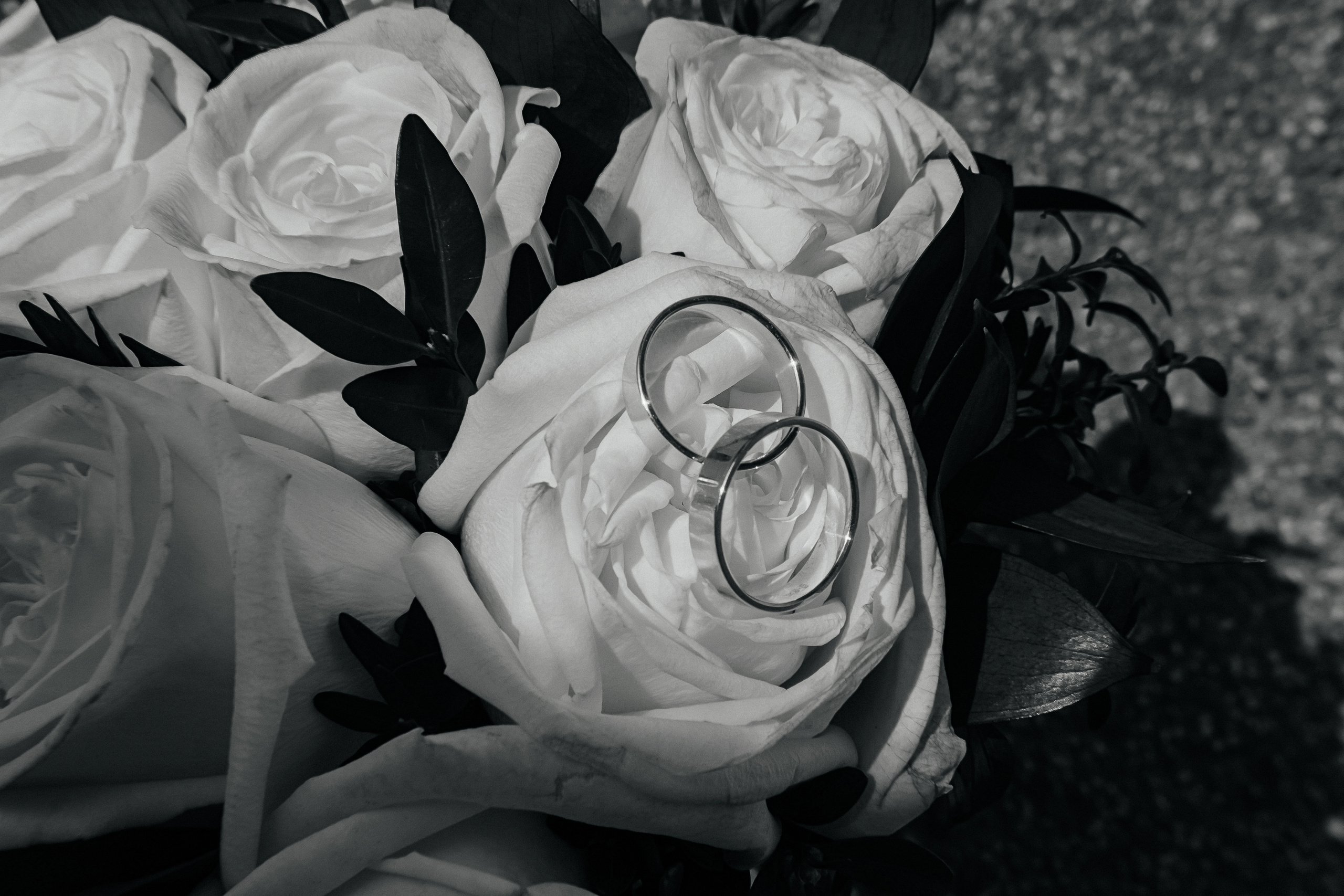 Татьяна & Максим. Семейный и свадебный фотограф Новосибирск