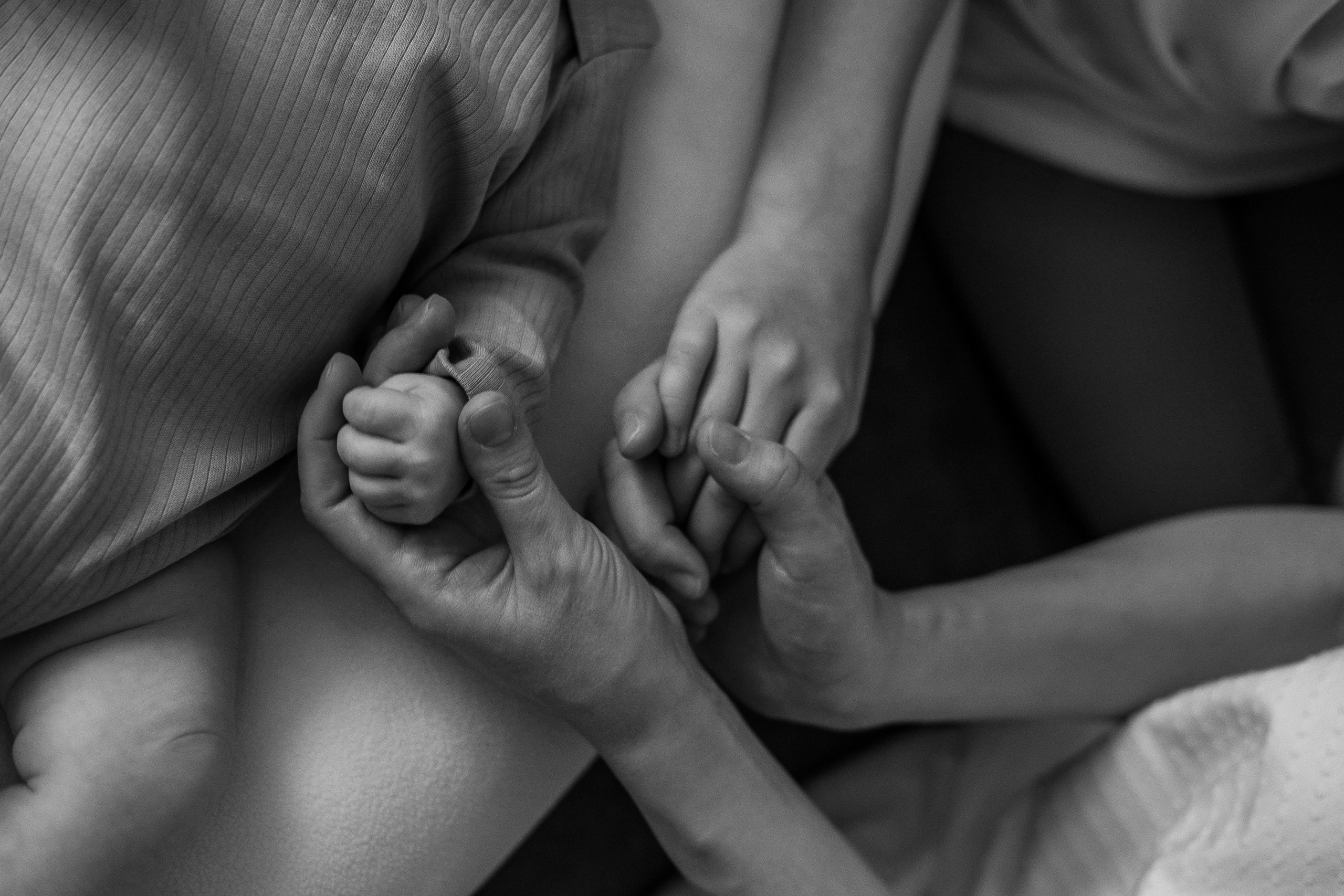 Платон. Семейный и свадебный фотограф Новосибирск