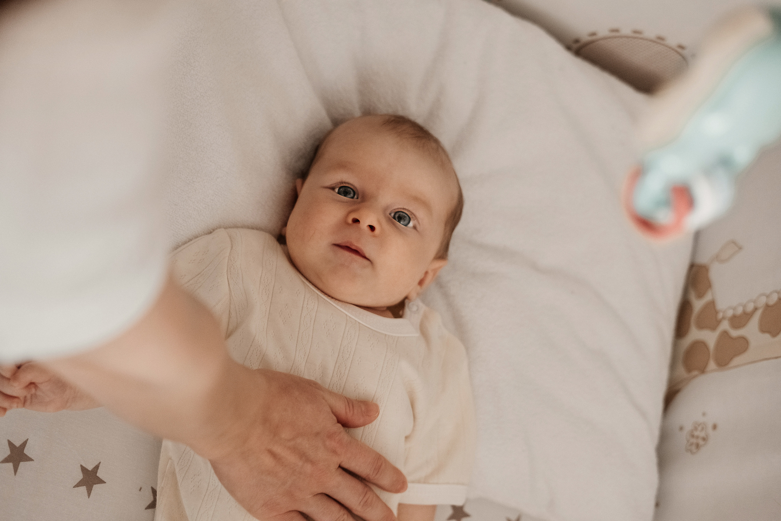 Платон. Семейный и свадебный фотограф Новосибирск