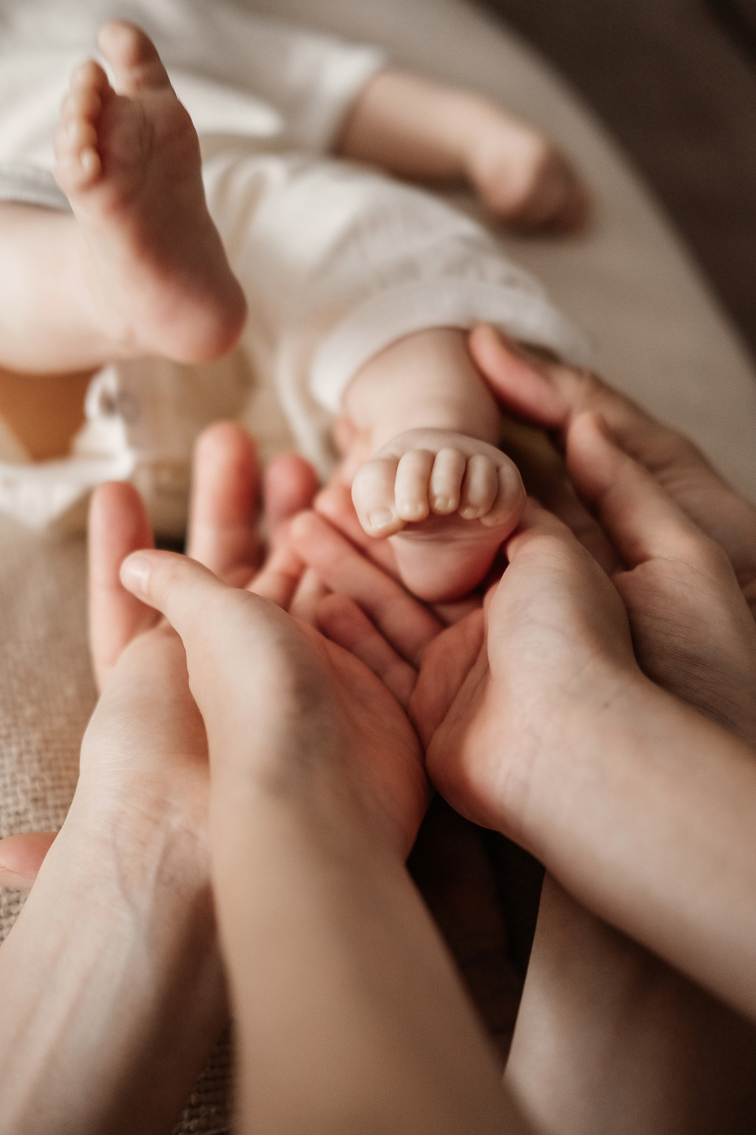 Платон. Семейный и свадебный фотограф Новосибирск