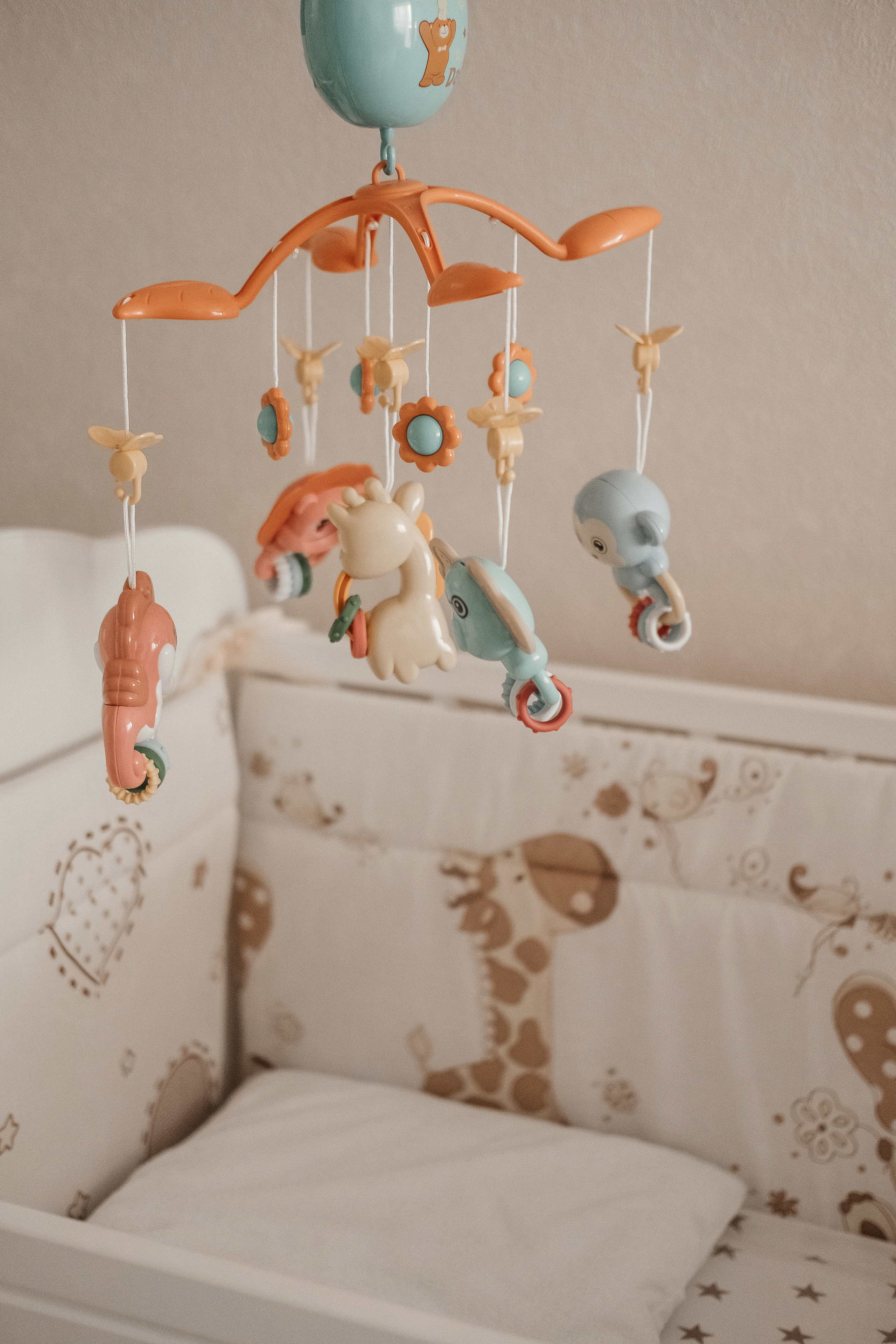 Платон. Семейный и свадебный фотограф Новосибирск