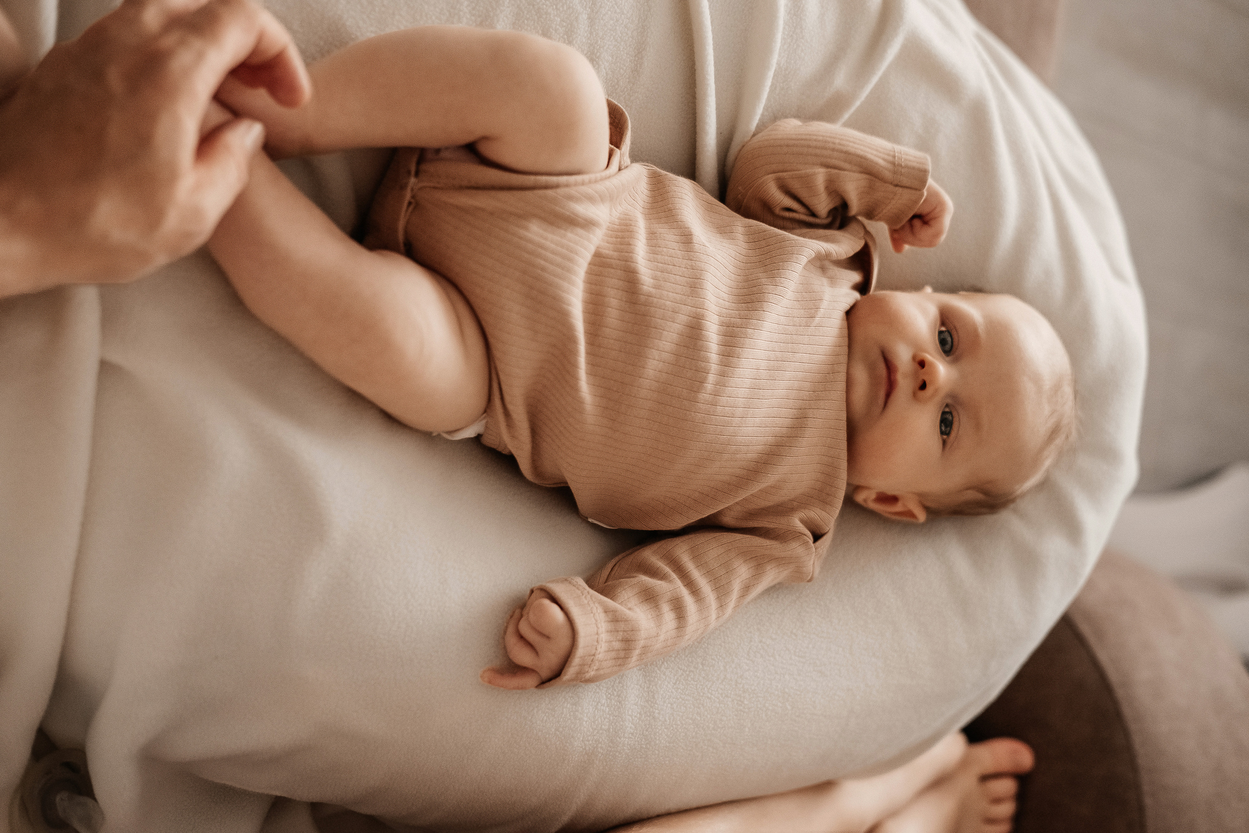 Платон. Семейный и свадебный фотограф Новосибирск