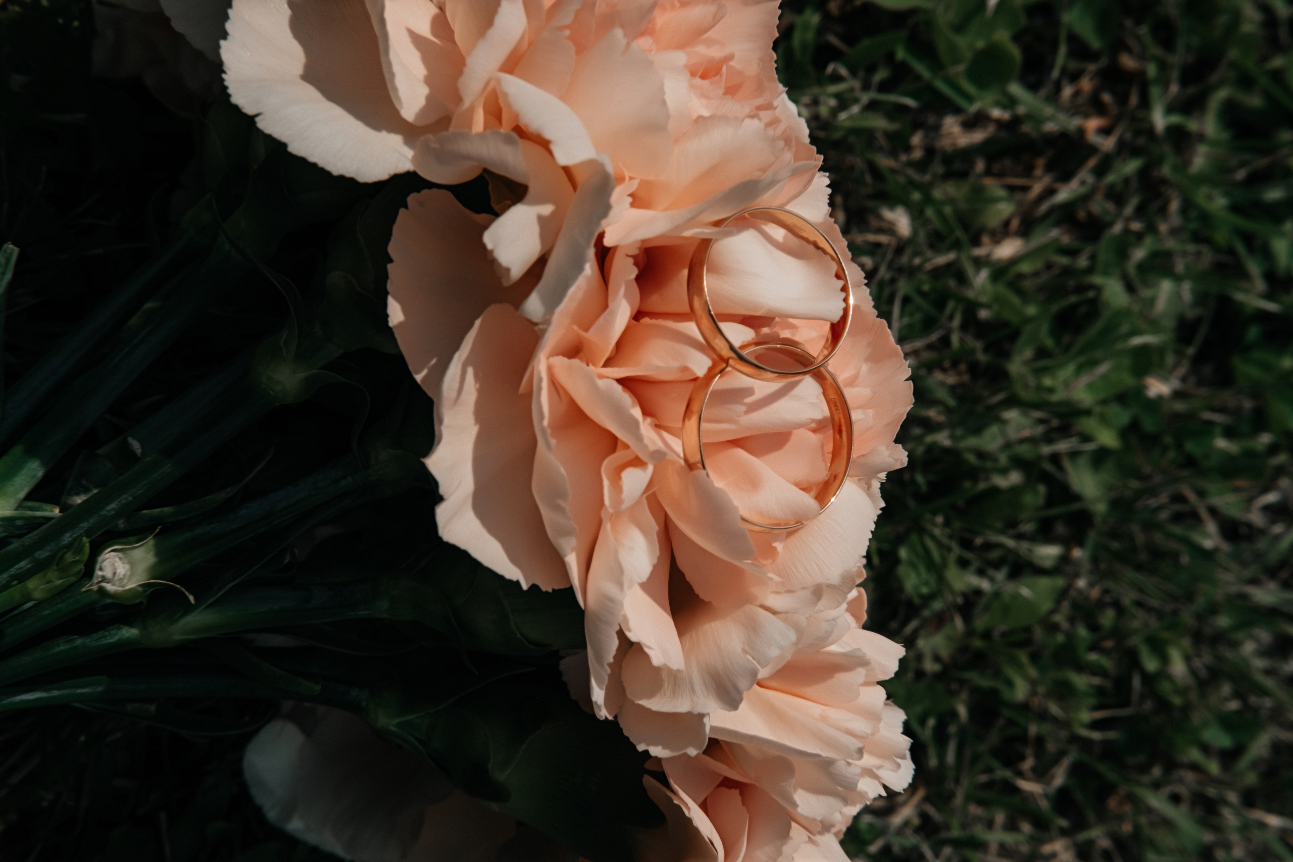 Ирина & Никита. Семейный и свадебный фотограф Новосибирск