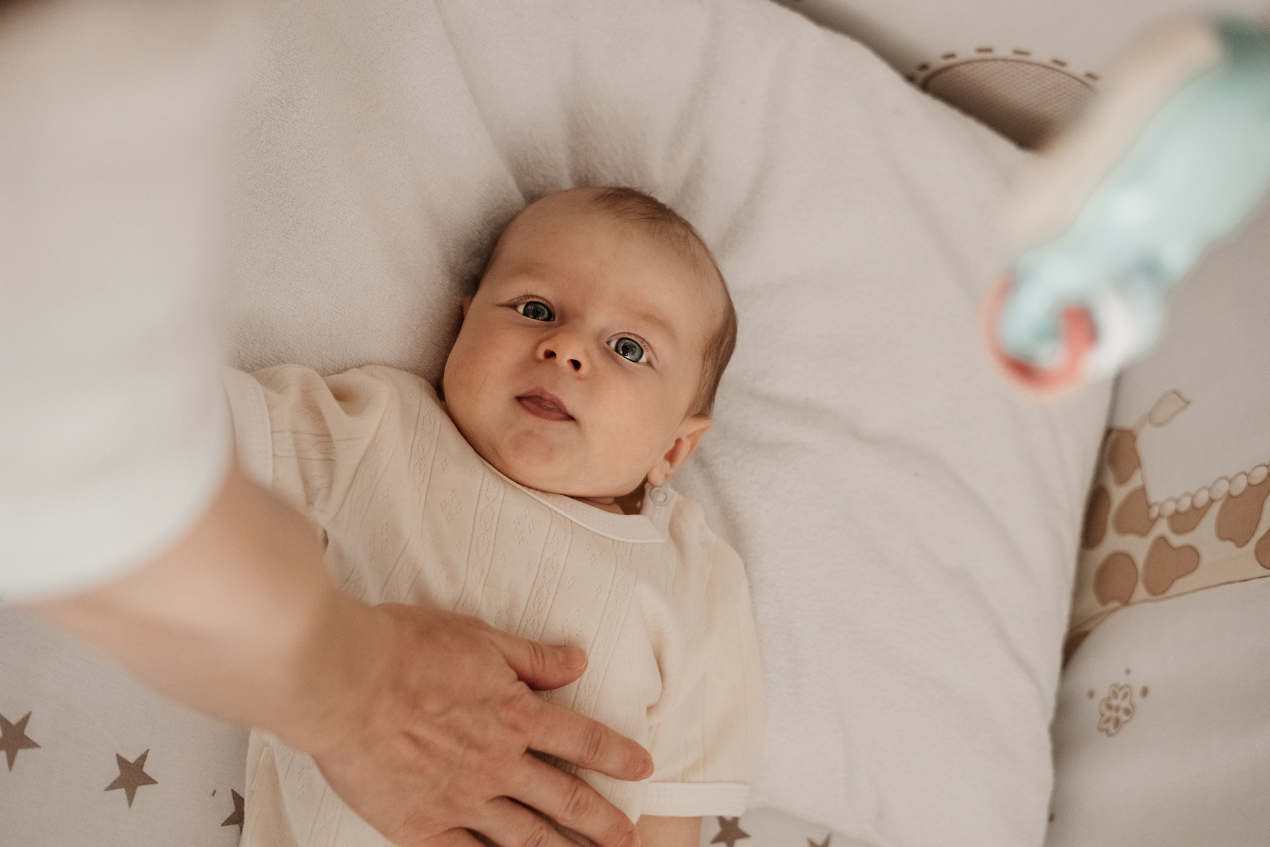 Платон. Семейный и свадебный фотограф Новосибирск