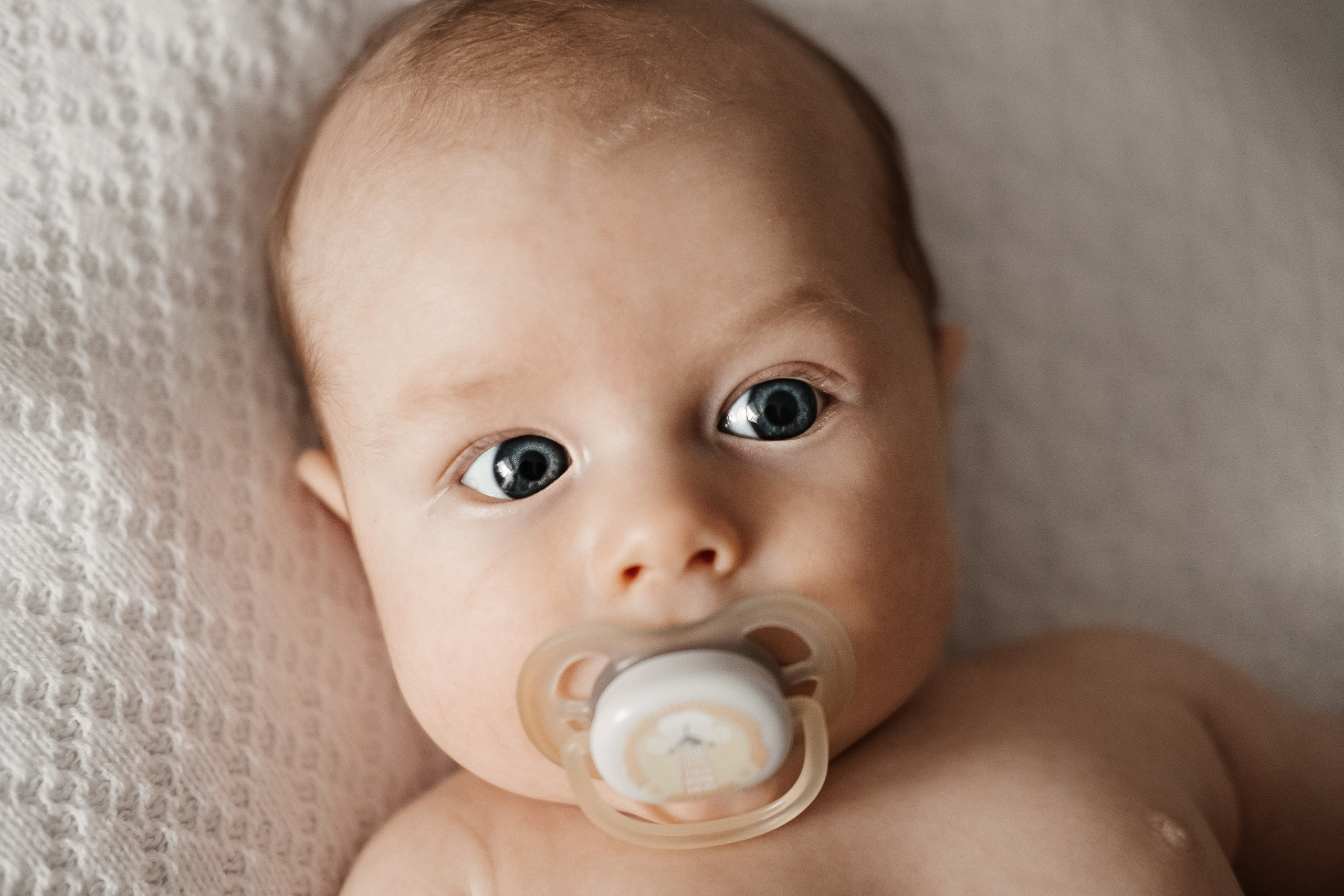 Платон. Семейный и свадебный фотограф Новосибирск