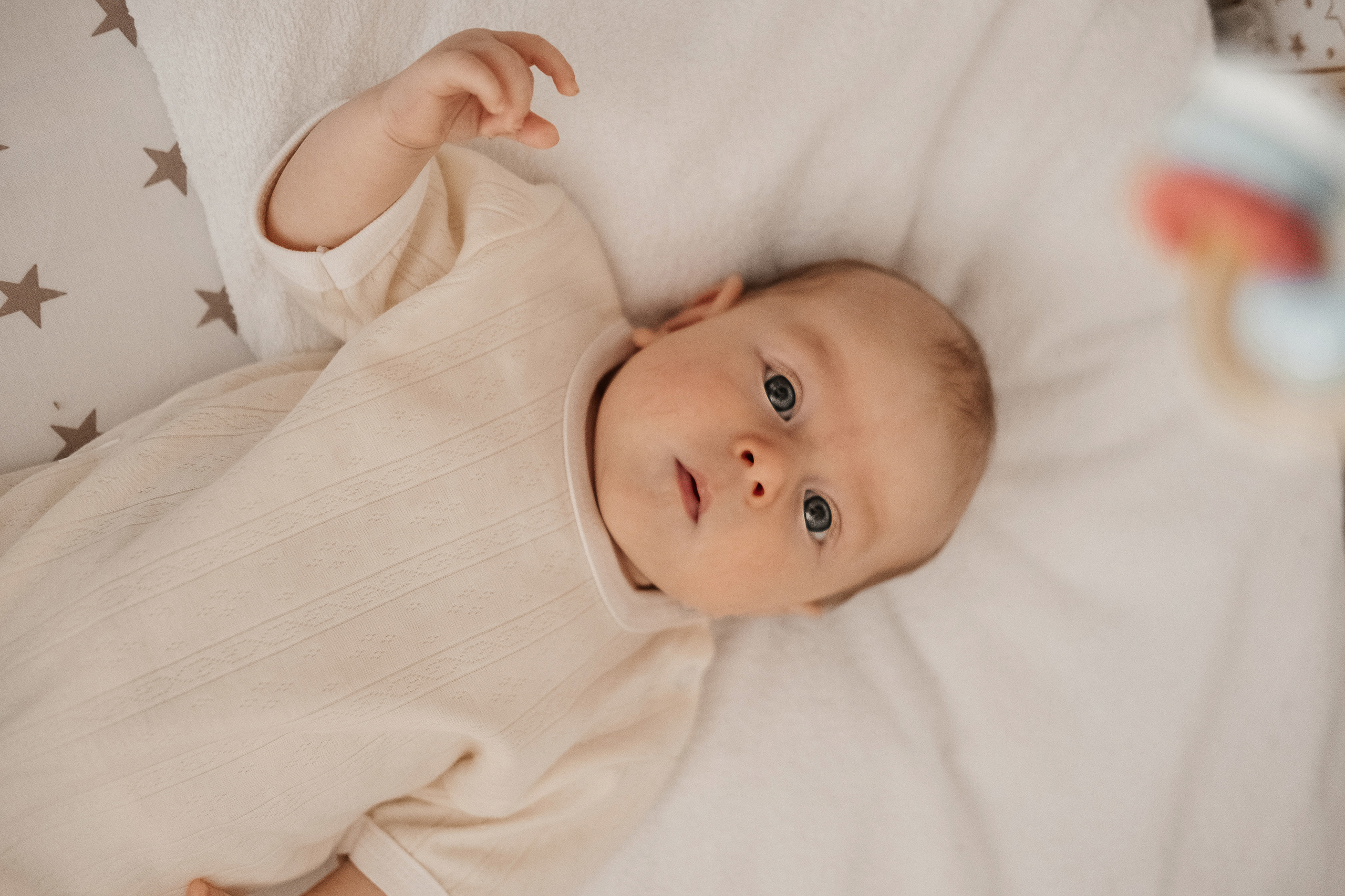 Платон. Семейный и свадебный фотограф Новосибирск