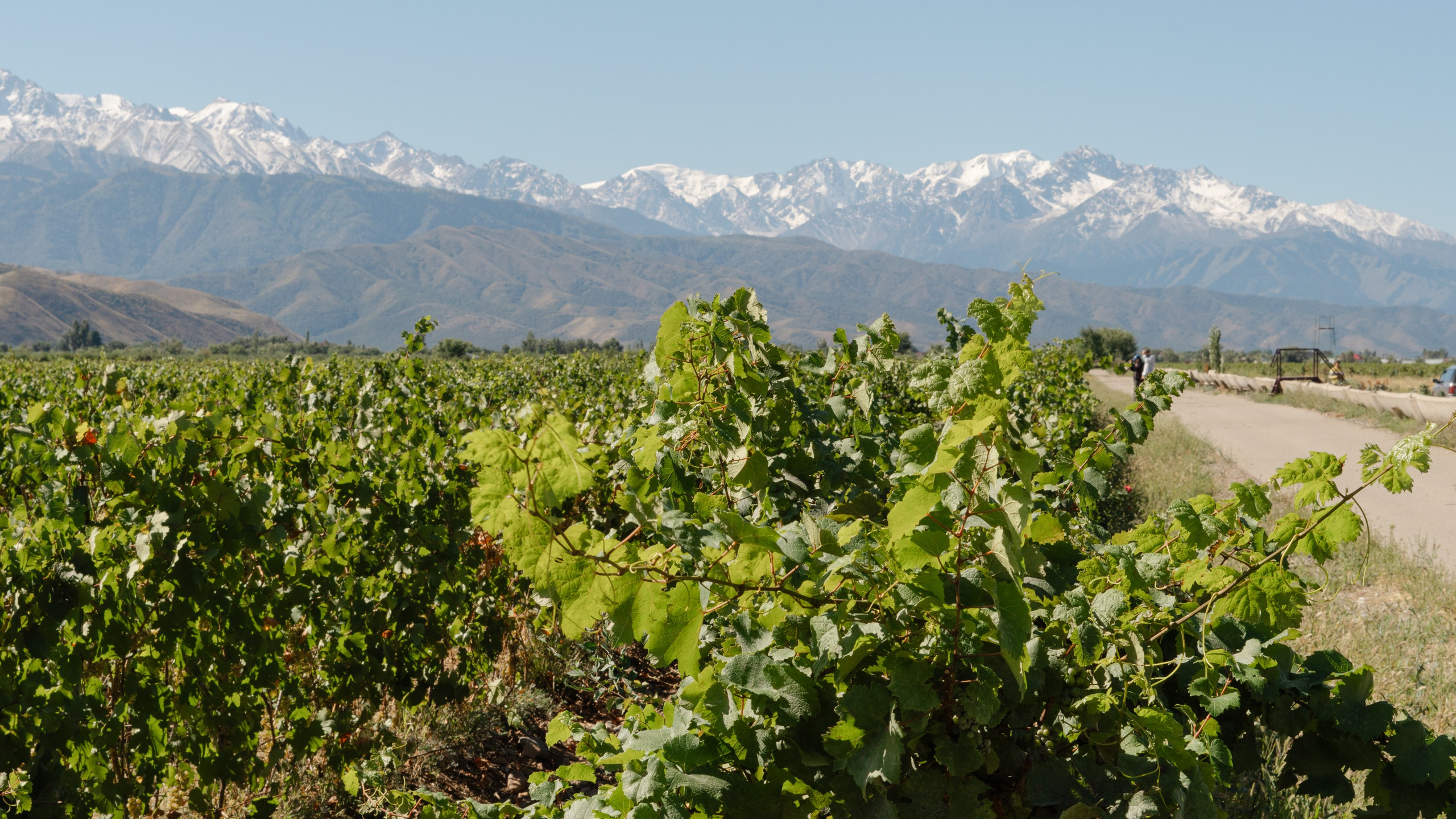 ArbaWine. Адиль Абильтаев|Фотограф|Астана