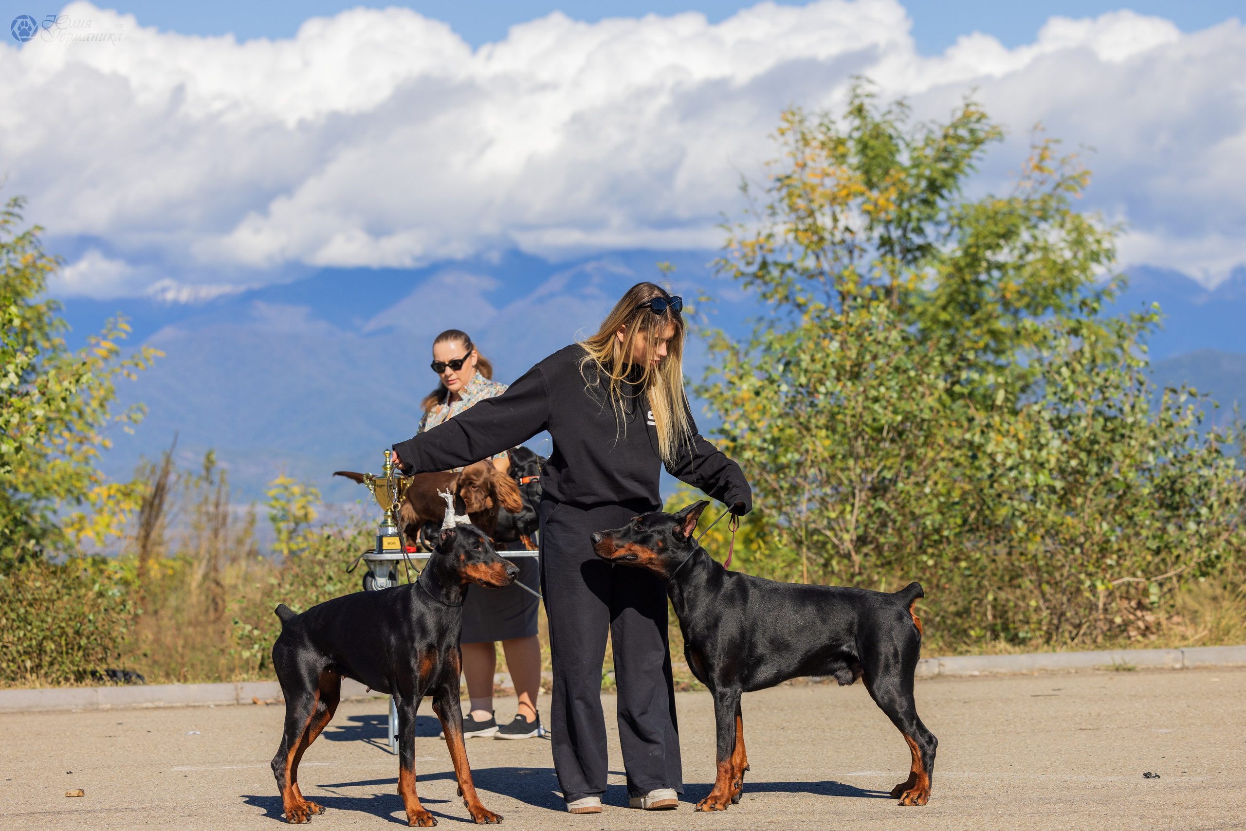 Грузия,Телави 2хCACIB 19-20.10.2024. Фотограф-анималист Юлия Германика