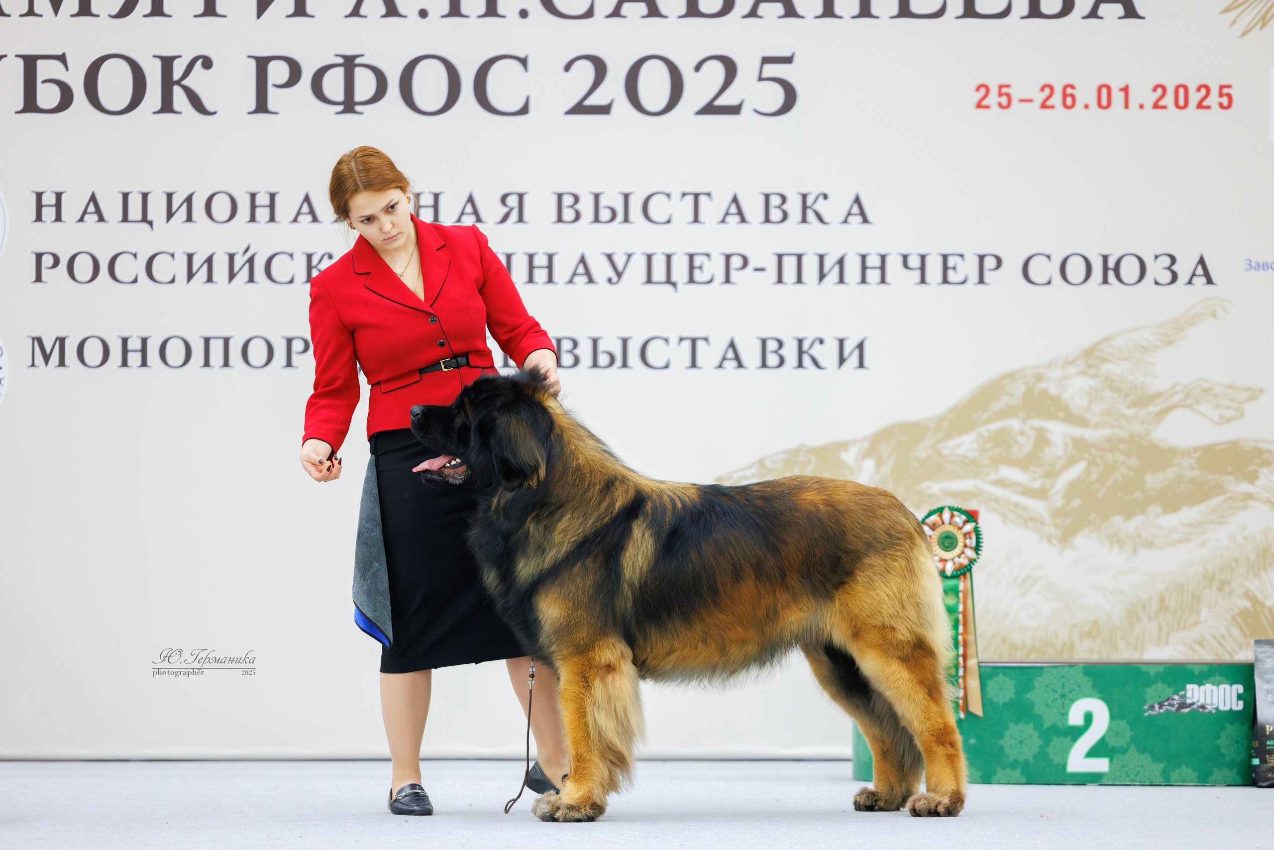 Сабанеевка Казань 25-26.01.2025. Фотограф-анималист Юлия Германика