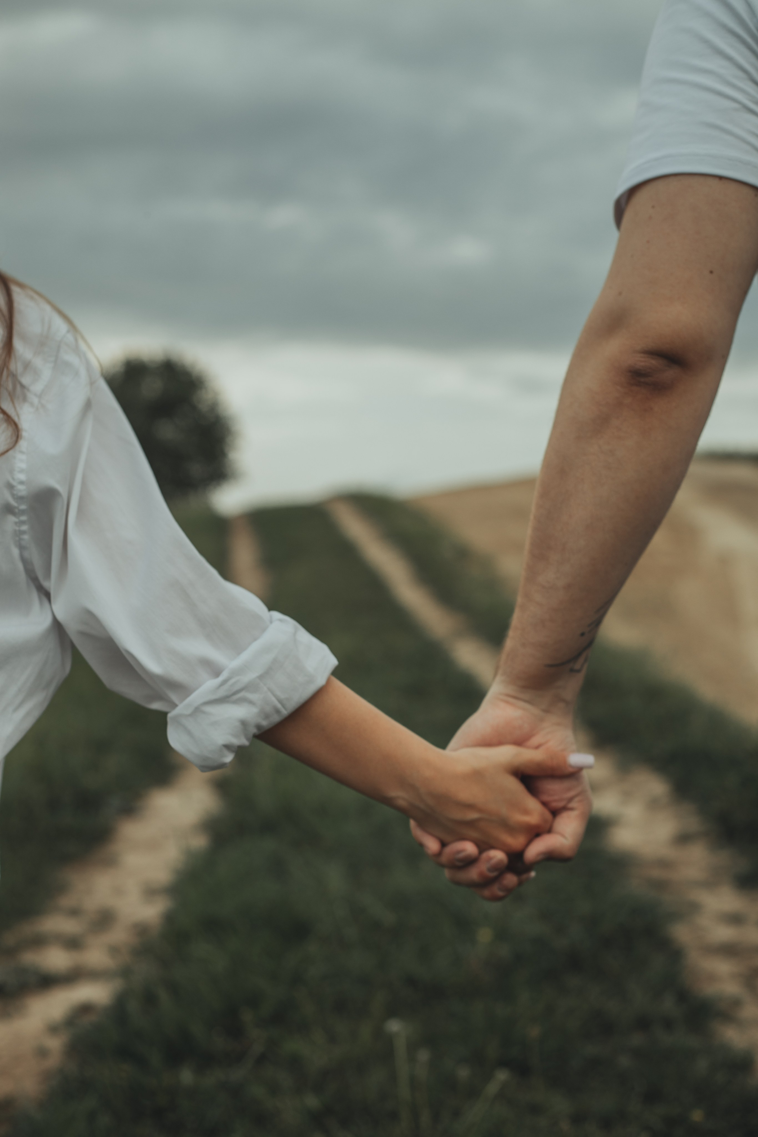 Любовь в поле. Главная