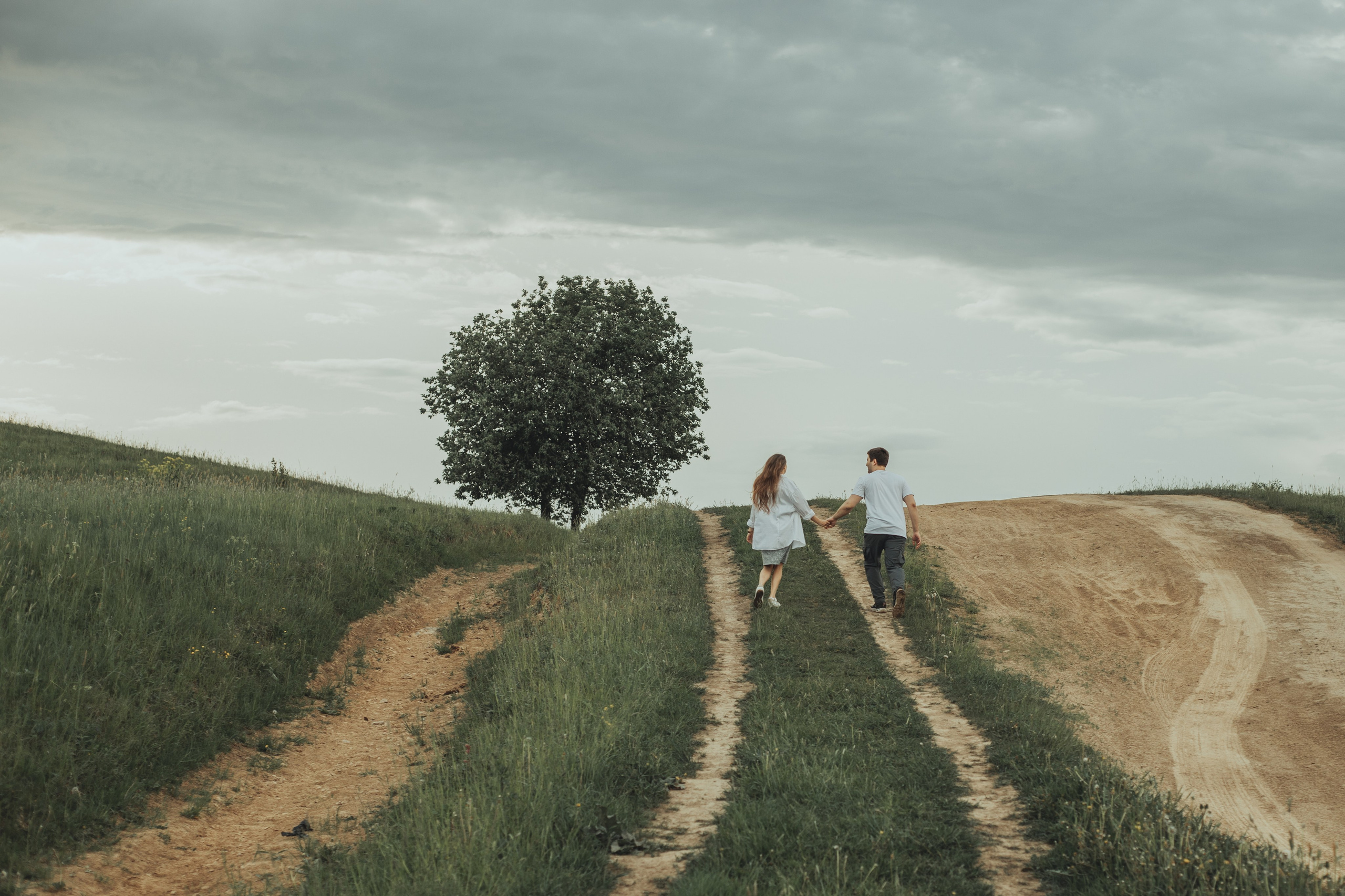 Любовь в поле. Главная
