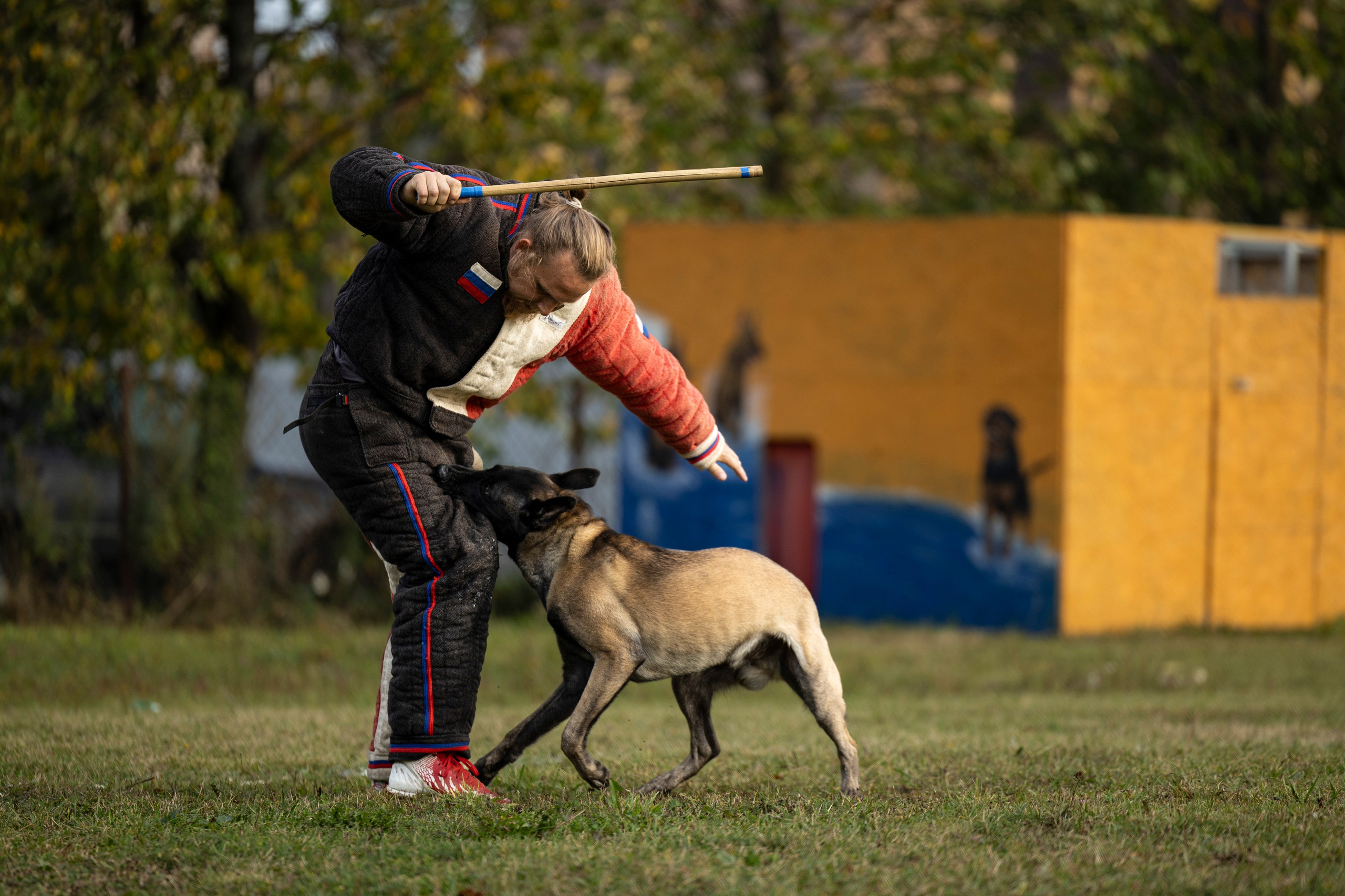 Испытания по Мондьорингу г. Пушкин. Фотограф-анималист Анна Маринич