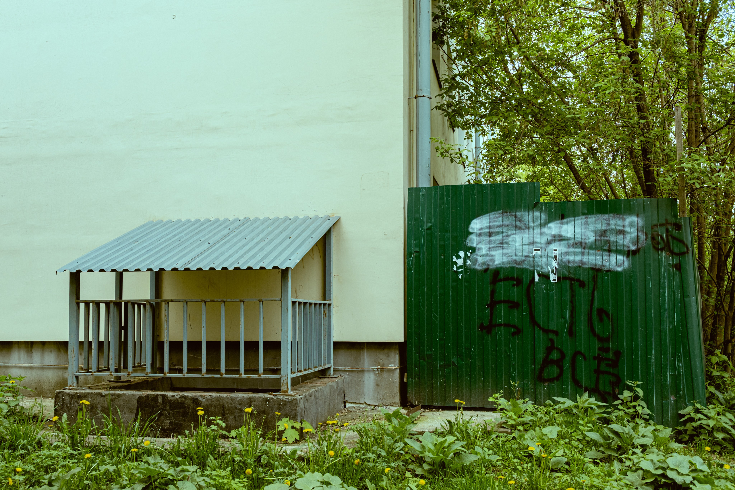 Владимир. Екатерина Лапина фотографирует