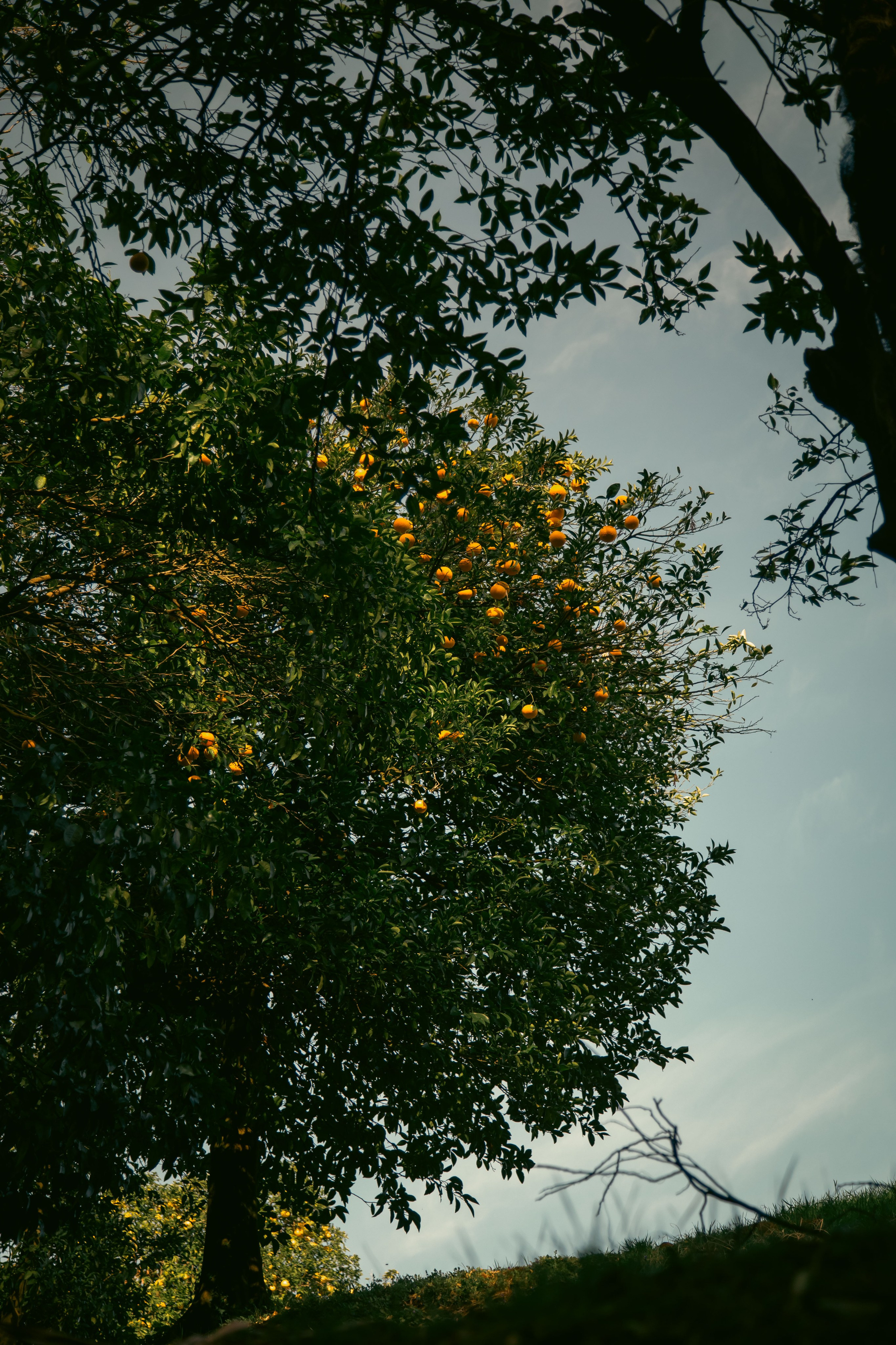 Batumi. Dmitriy [KCCC] is a pretty cool photographer