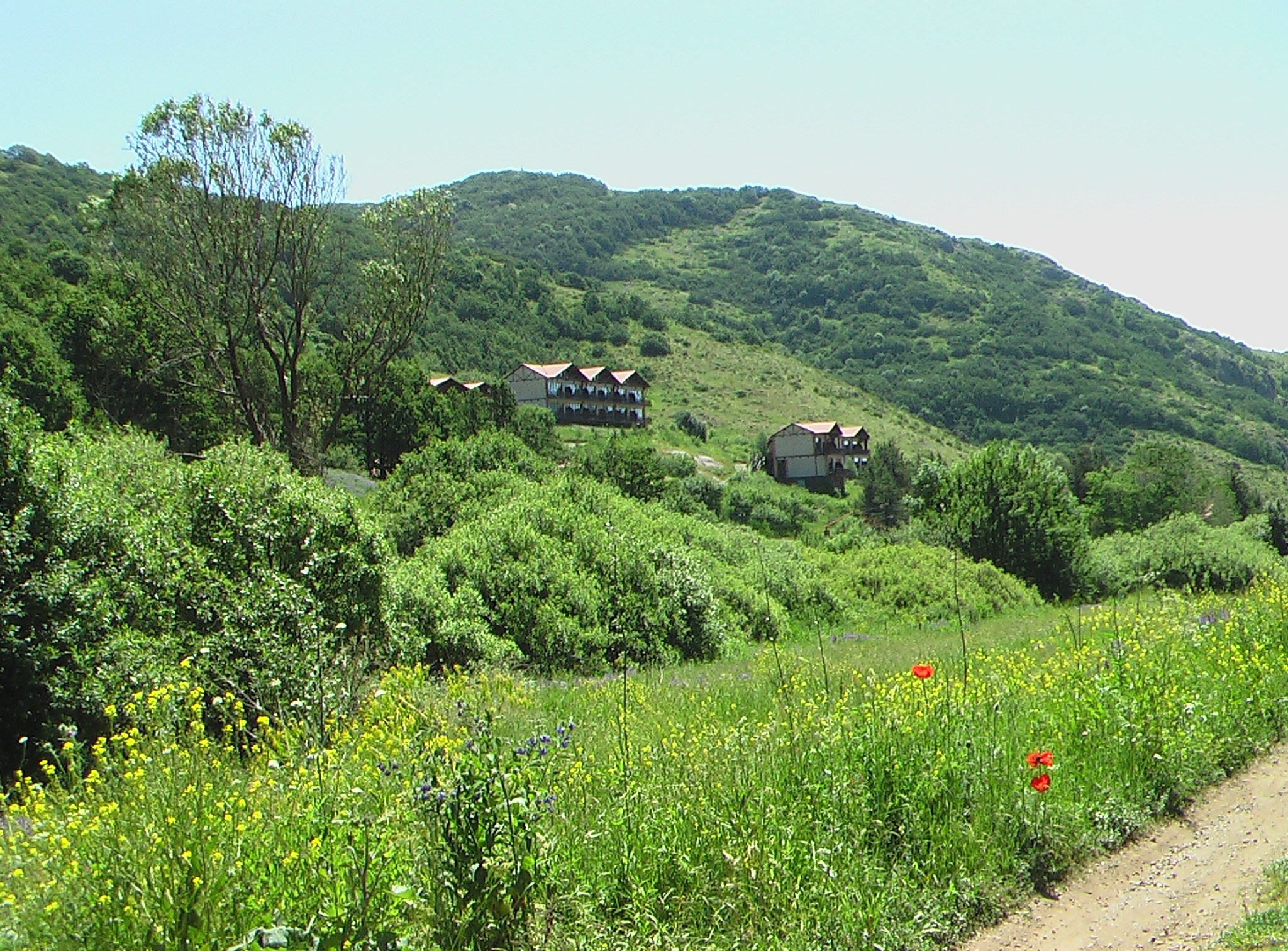 Армения. Главная