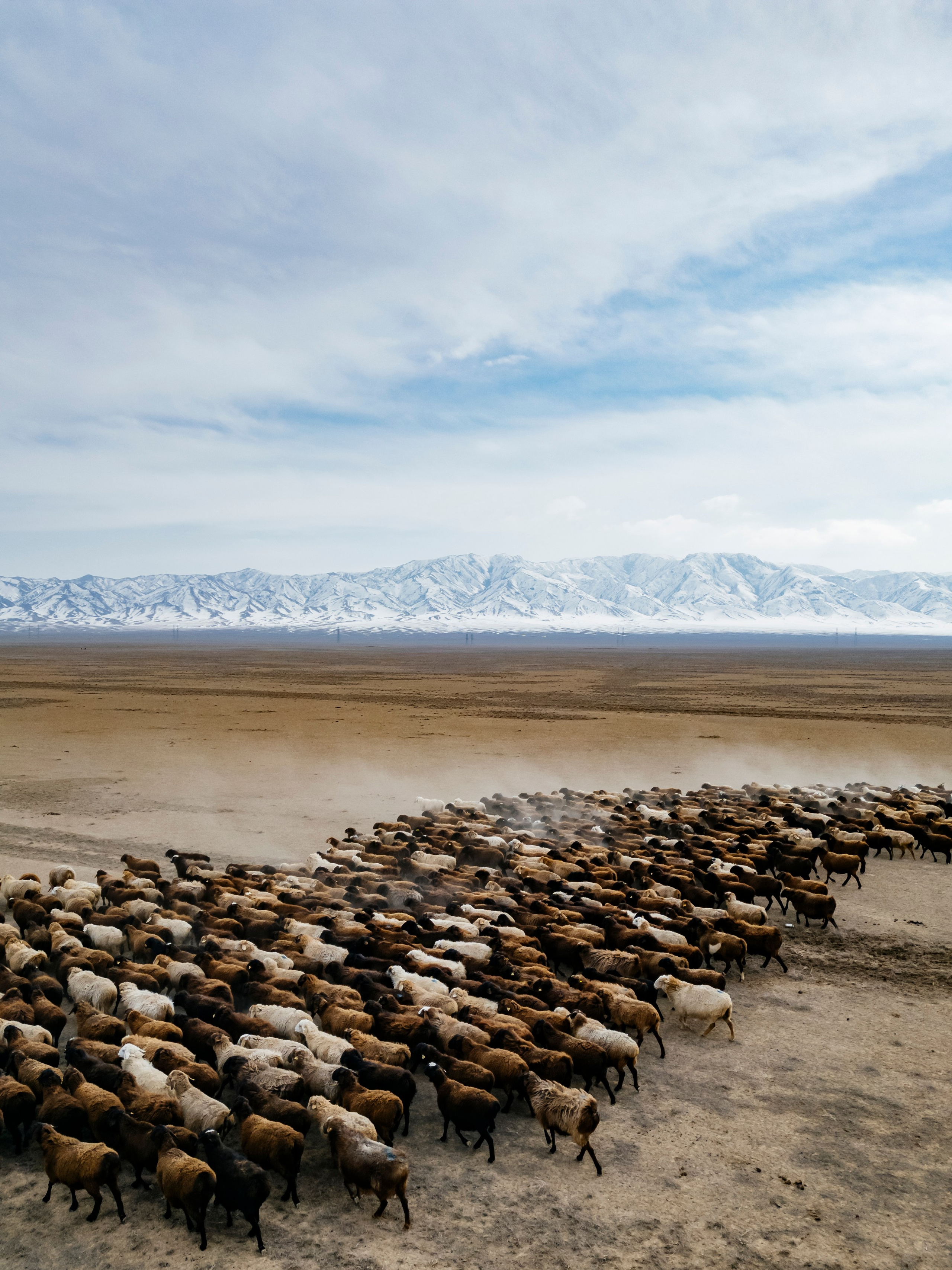 Aerial photography. Фотограф в Алматы Виктор Магдеев
