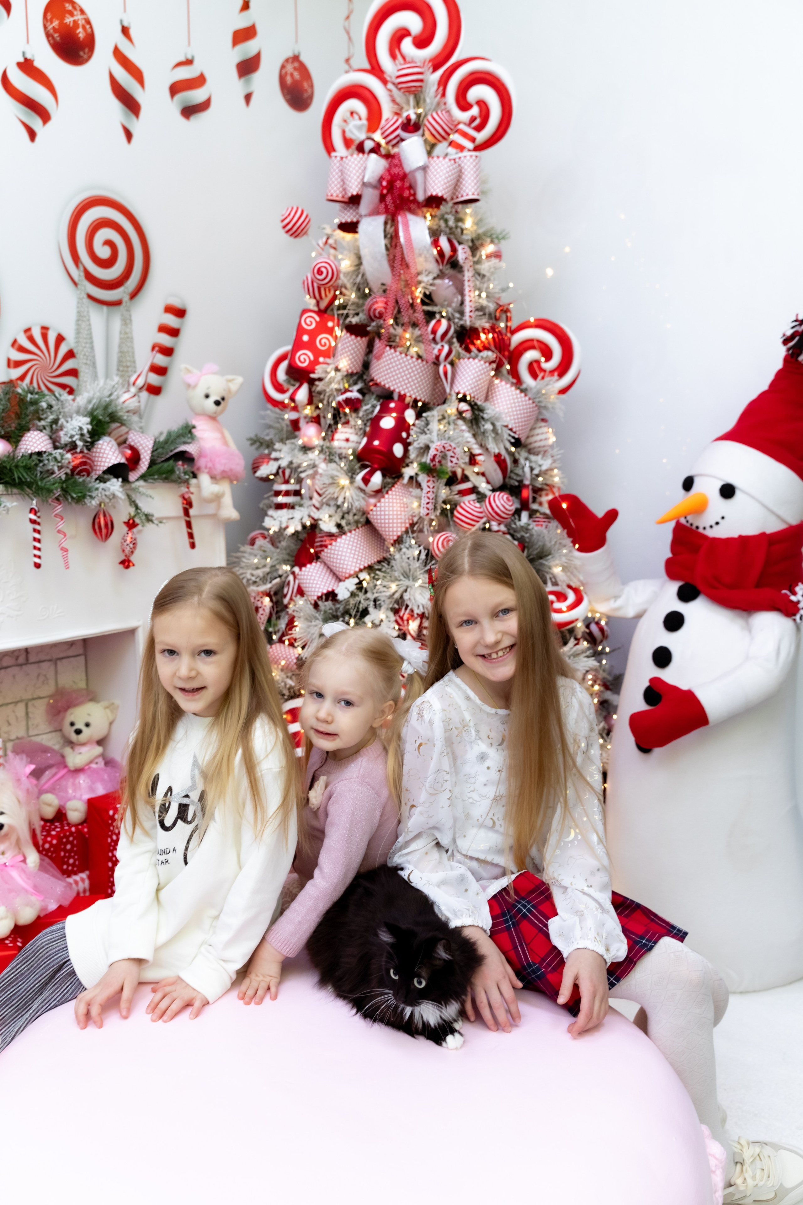 Фотосессии с питомцами в Сургуте