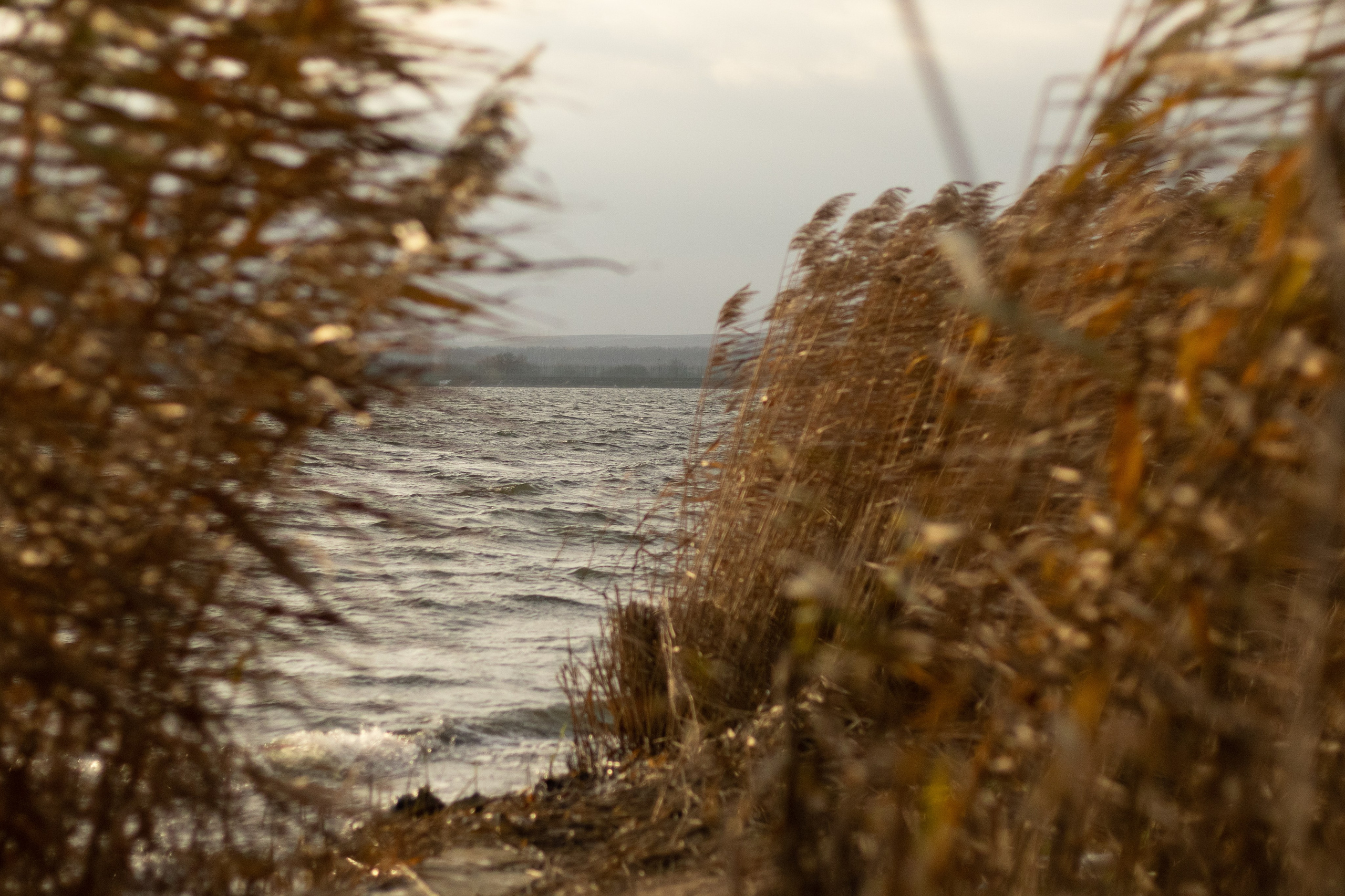 О себе. Фотограф Наталья Мершина