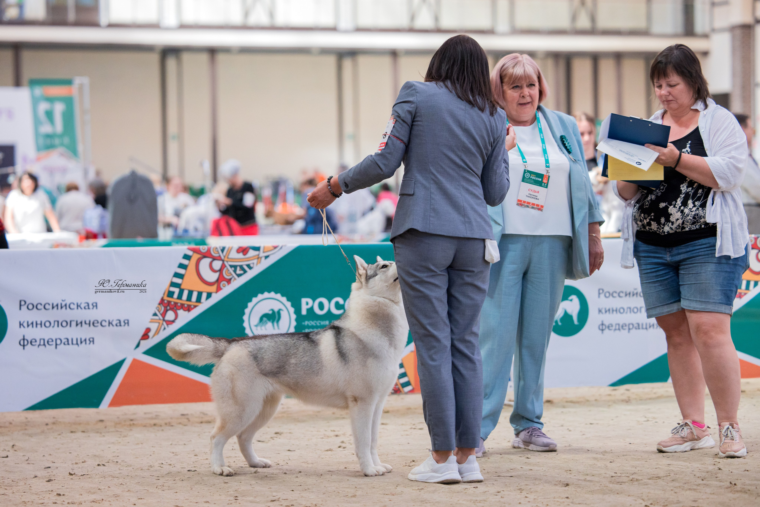 РОССИЯ 8-9.06.2024. Фотограф-анималист Юлия Германика