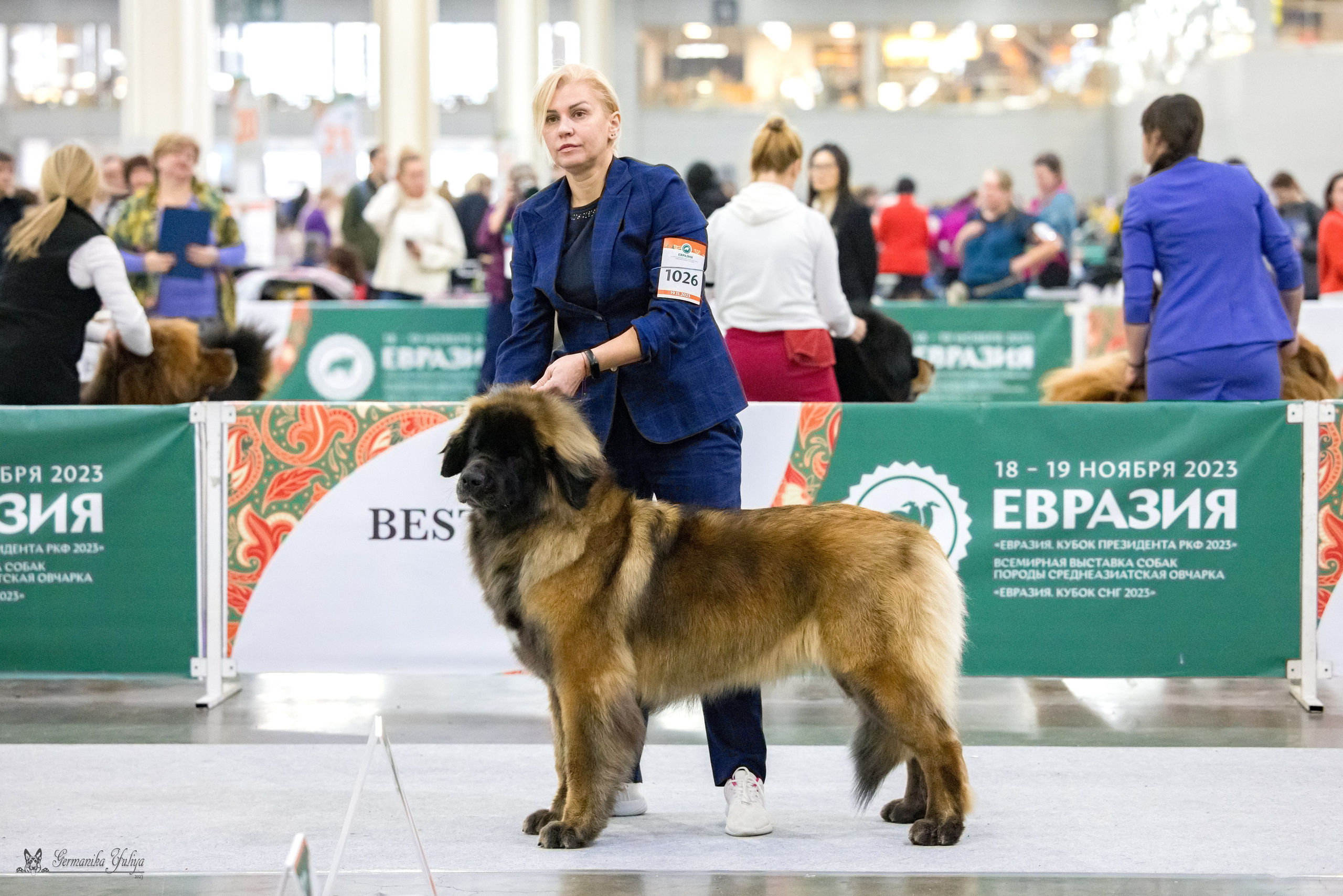 ЕВРАЗИЯ 18-19.11.2023. Фотограф-анималист Юлия Германика