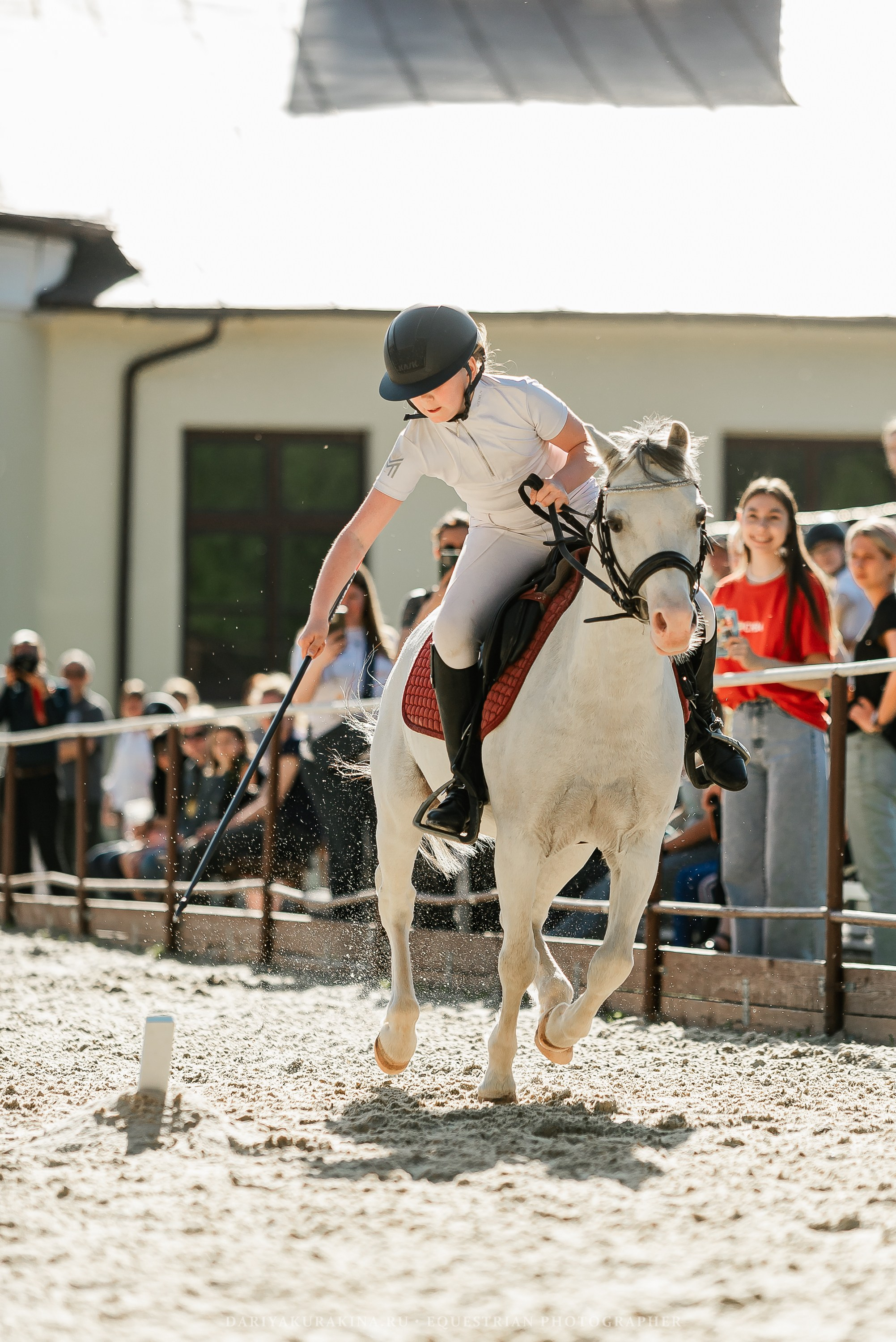 #ПОНИФОРУМ 2024. Конный фотограф Куракина Дарья • Фотосессии с лошадьми