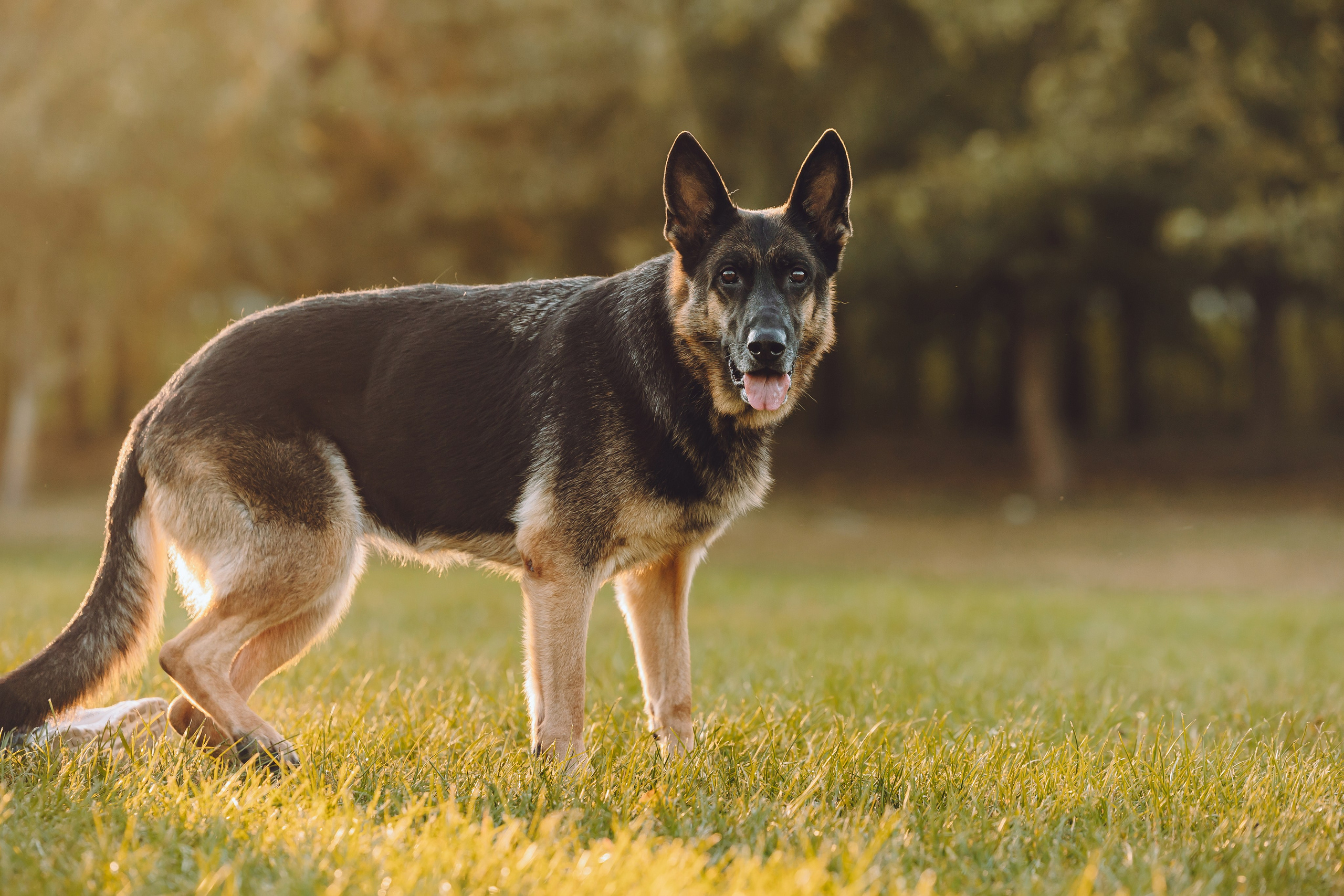 Кристина и все-все