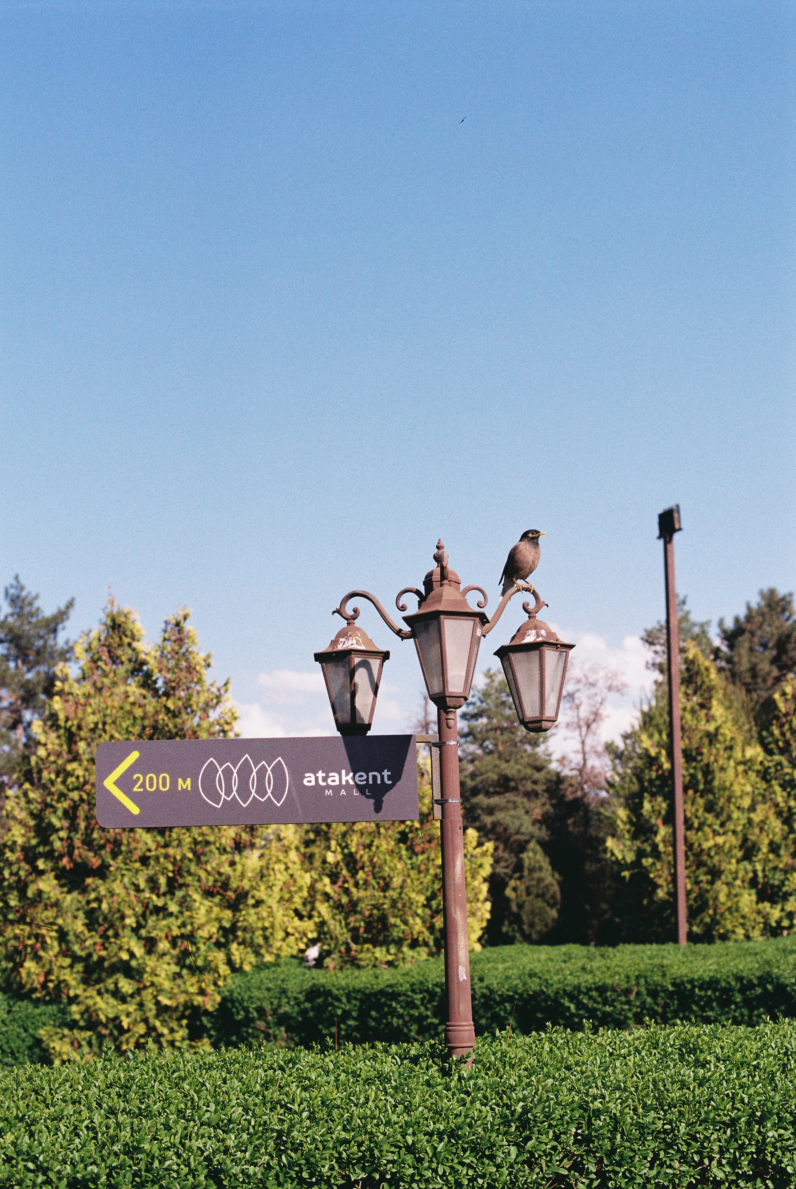 Ботанический сад, апрель 2026. Репортажный и портретный фотограф в Алматы — Дарья Фёдорова