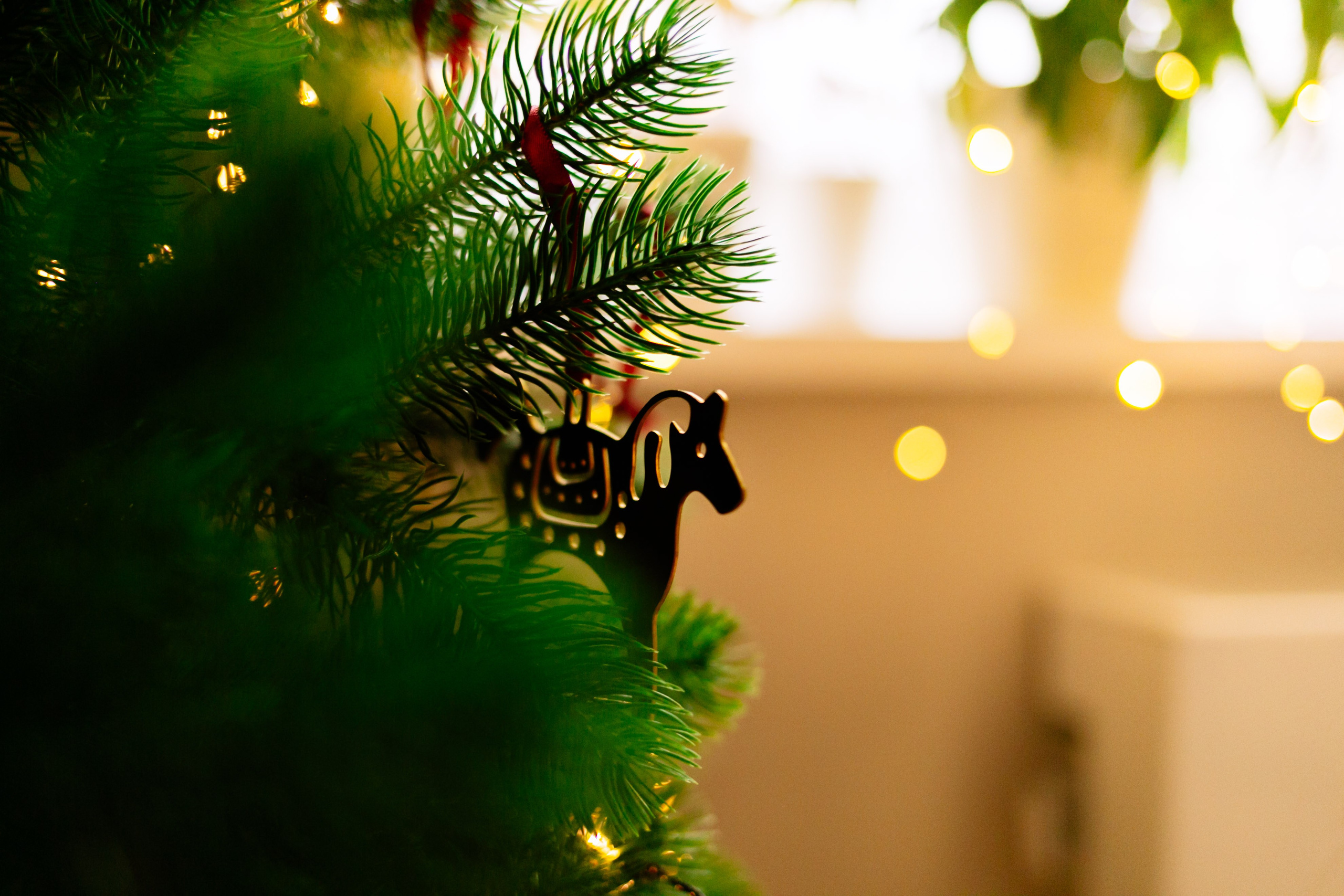 Кирилл, Марина, Саша