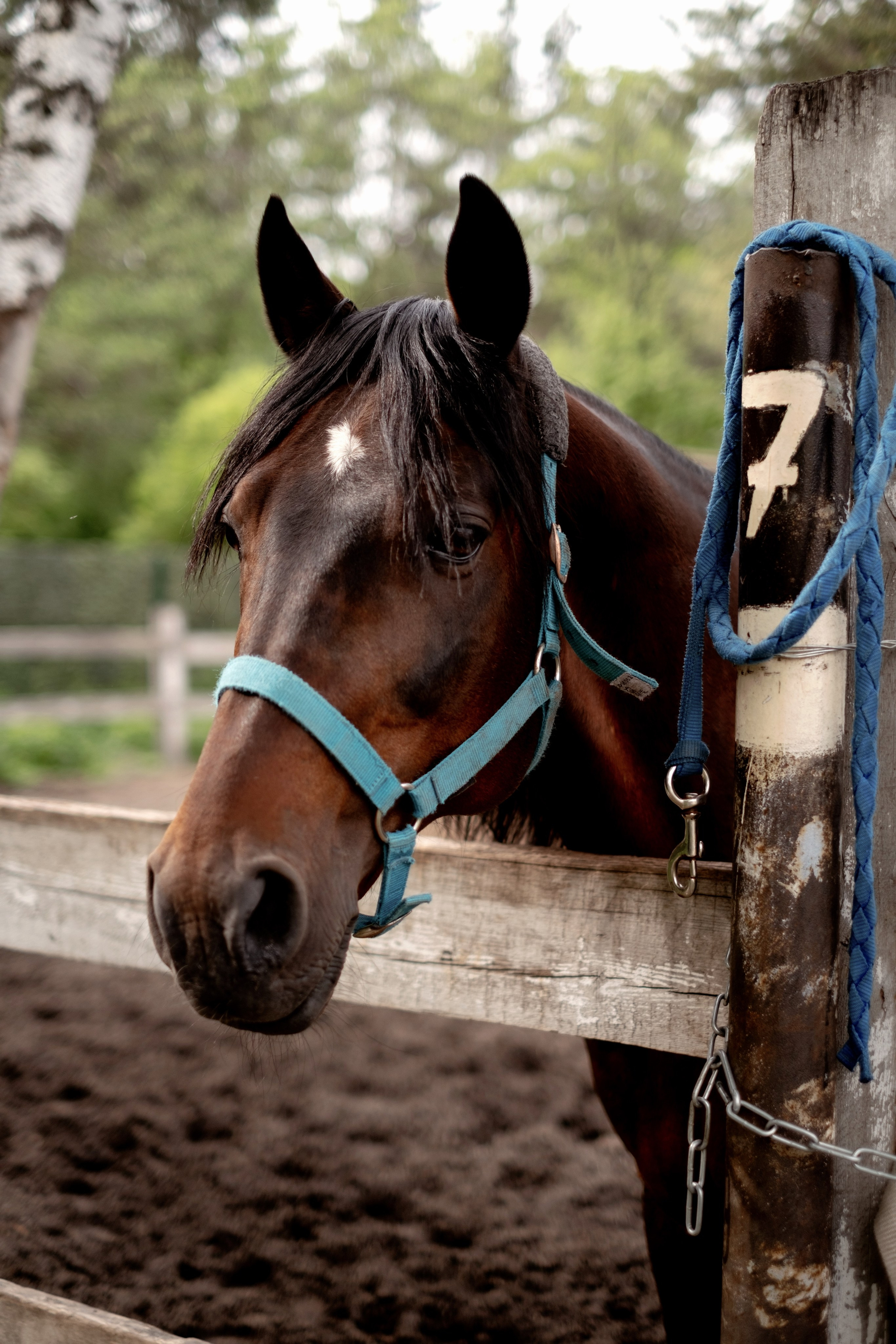 Алина. Фотограф в Челябинске I Надин Палмер