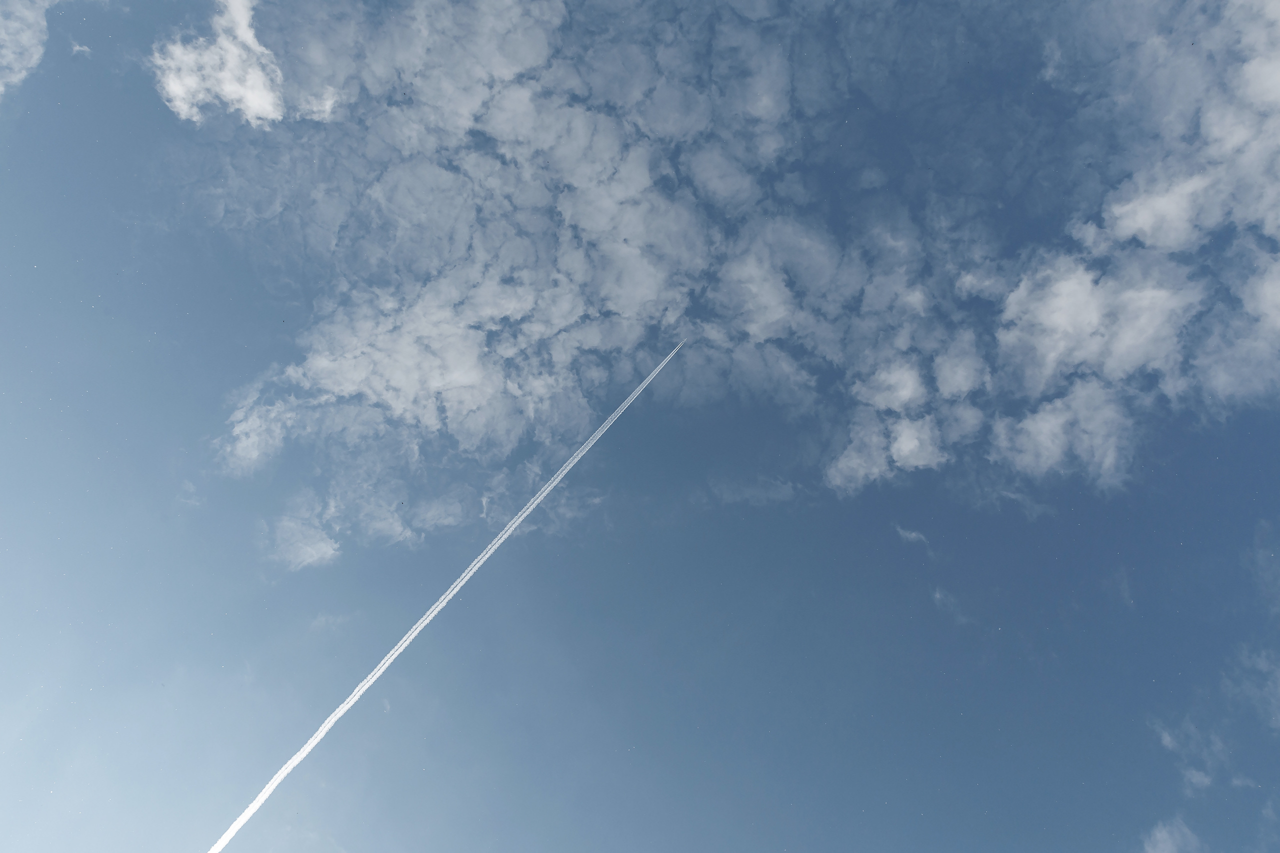 Wedding day Андрей и Виталина. Свадебный фотограф Колесников Антон