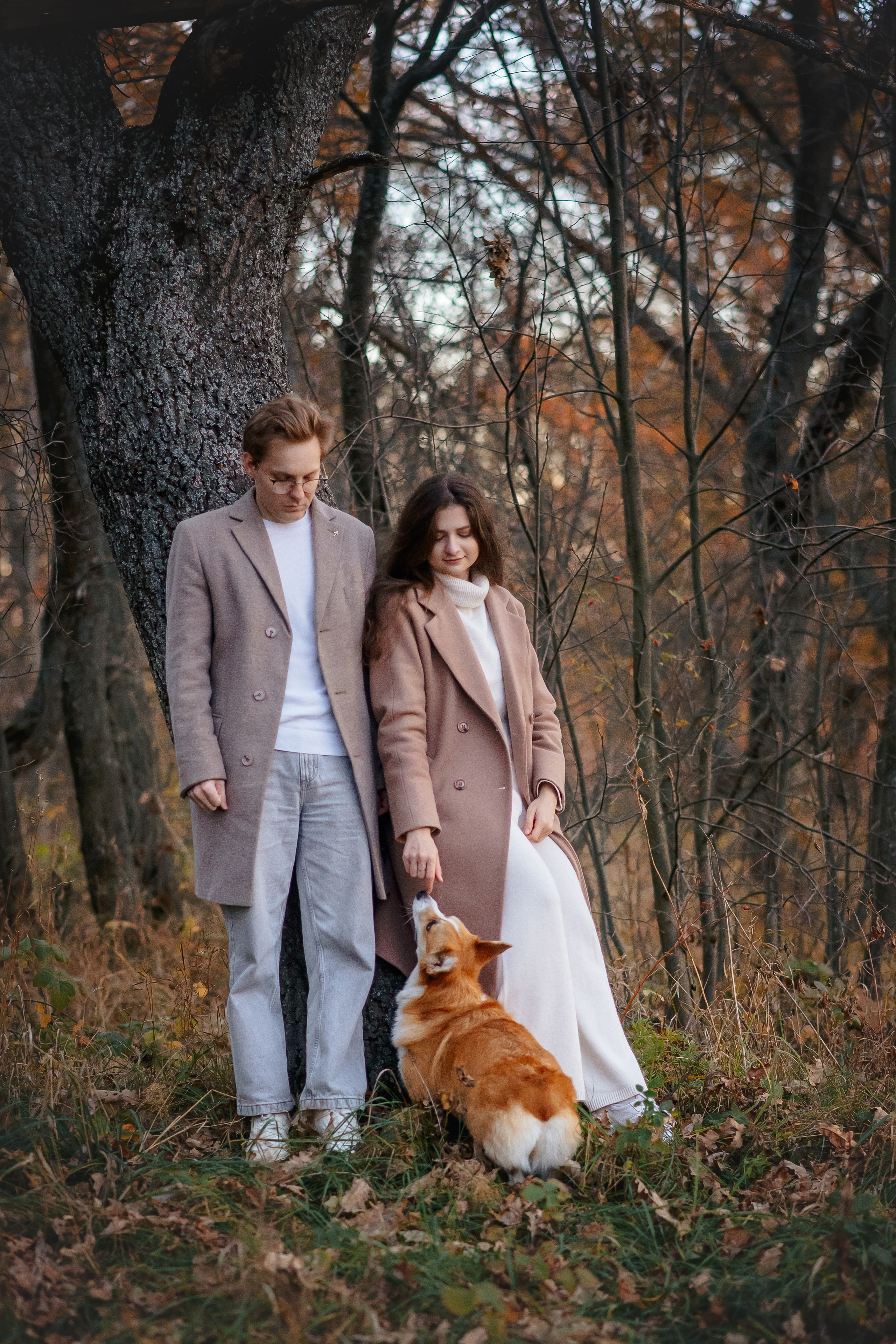 Максим, Аня и Челси — 19.10.2024. Фотограф — Анималист | Анна Абрамова
