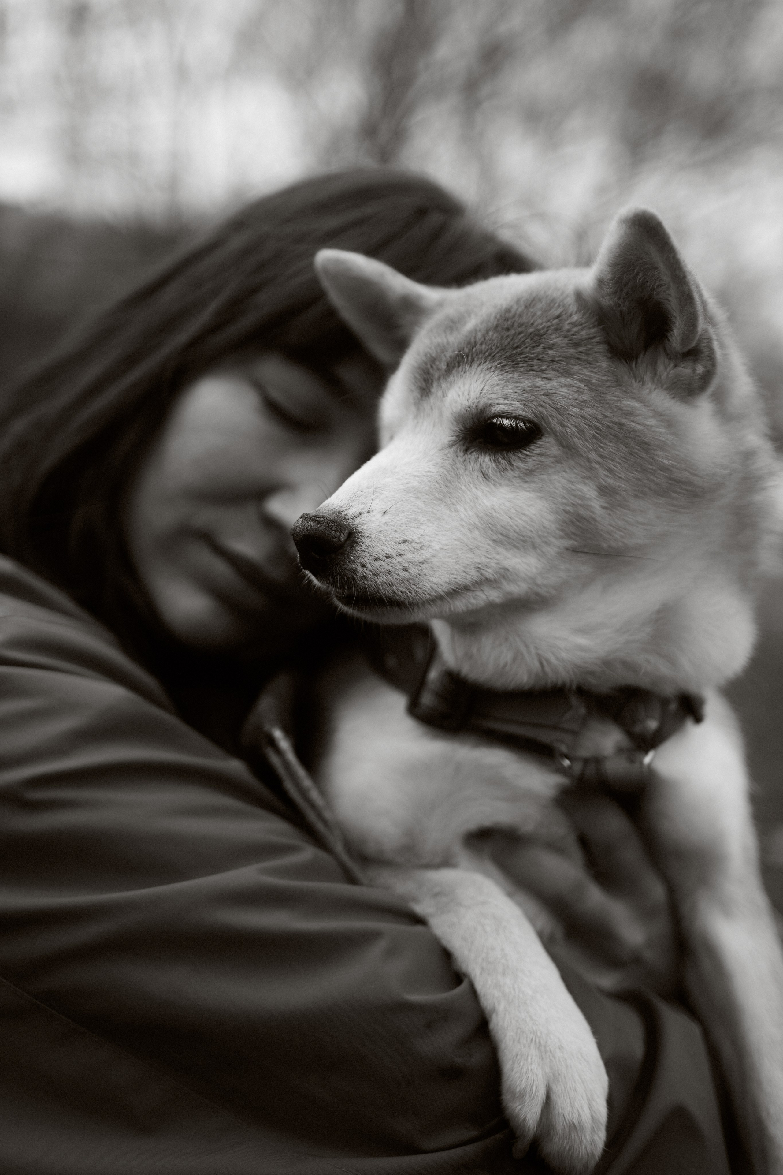 Осенние Уши. Фотограф анималист Москва Дарья