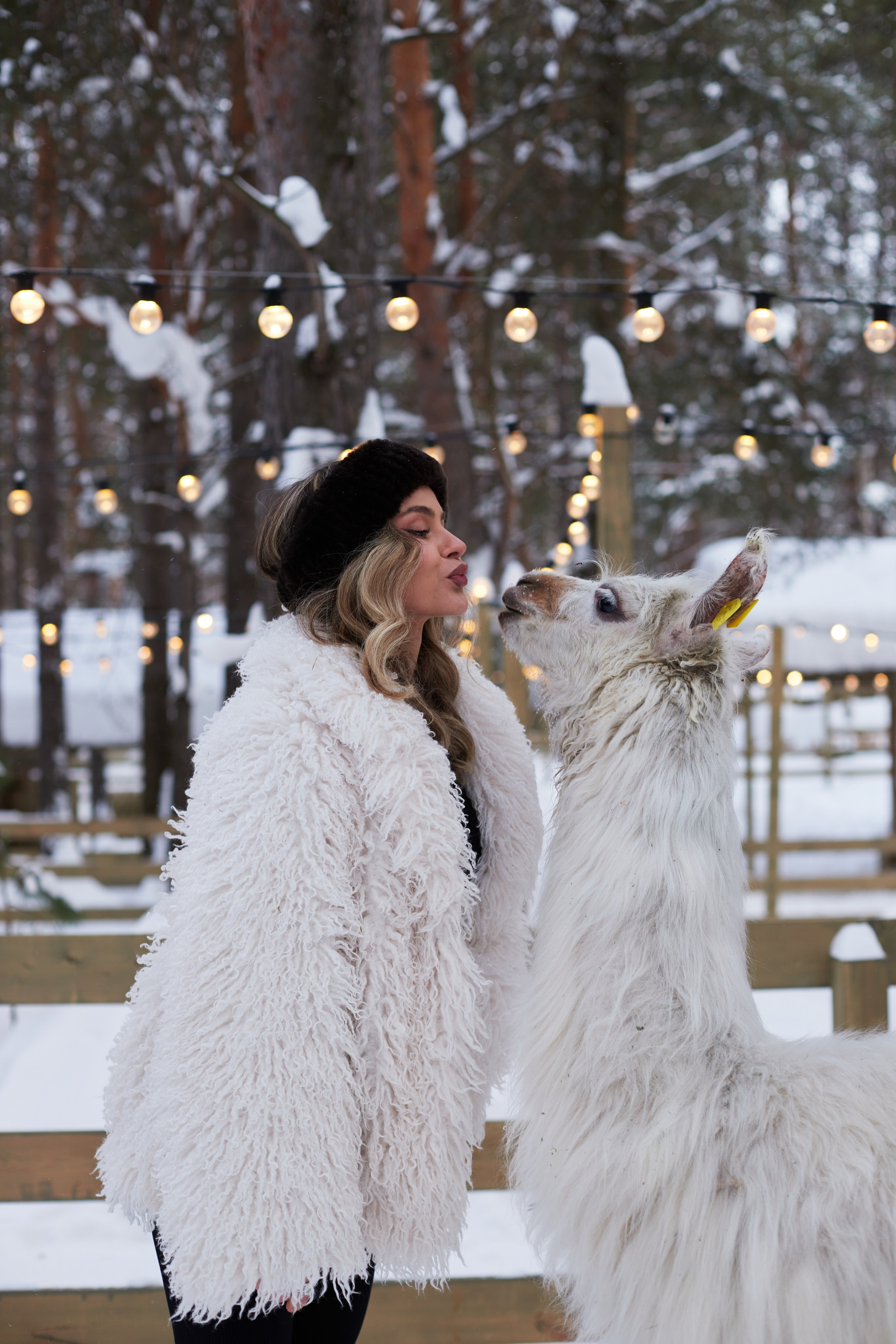 Альпака парк «Симба». Профессиональный фотограф Лилия Галеева