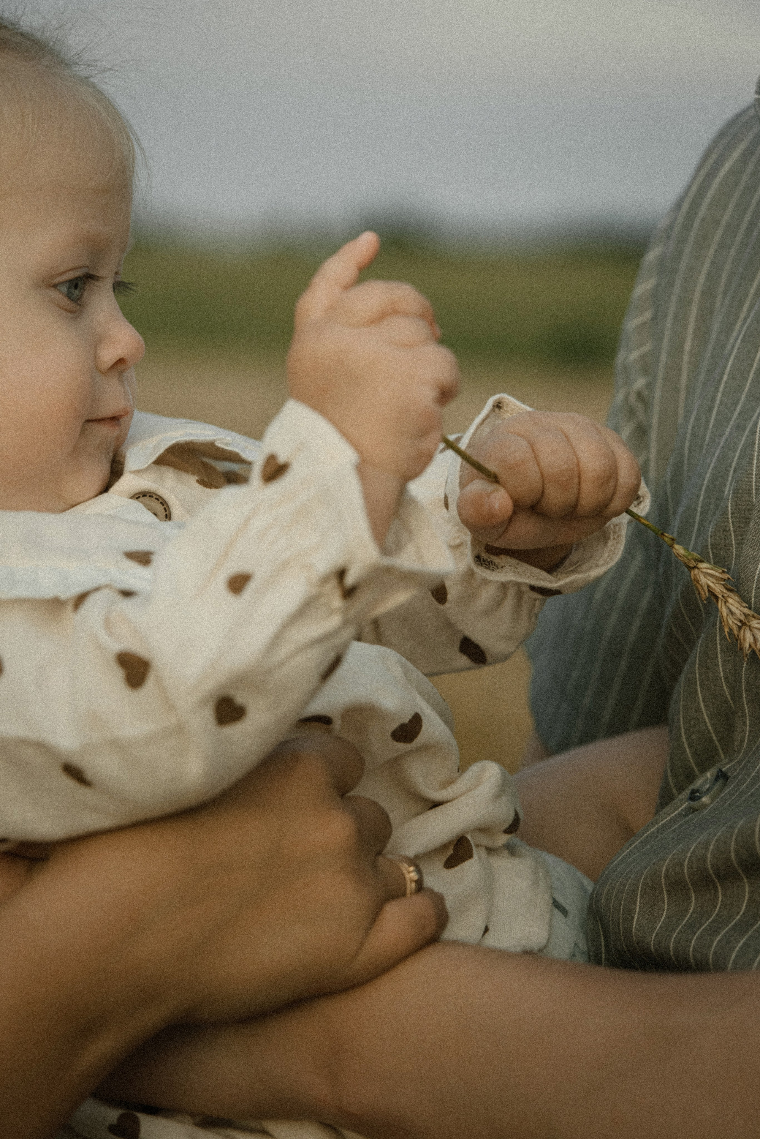 Семейная Закат. Римма Гусакова. Выпускные фотокниги. Детские и семейные фотосессии