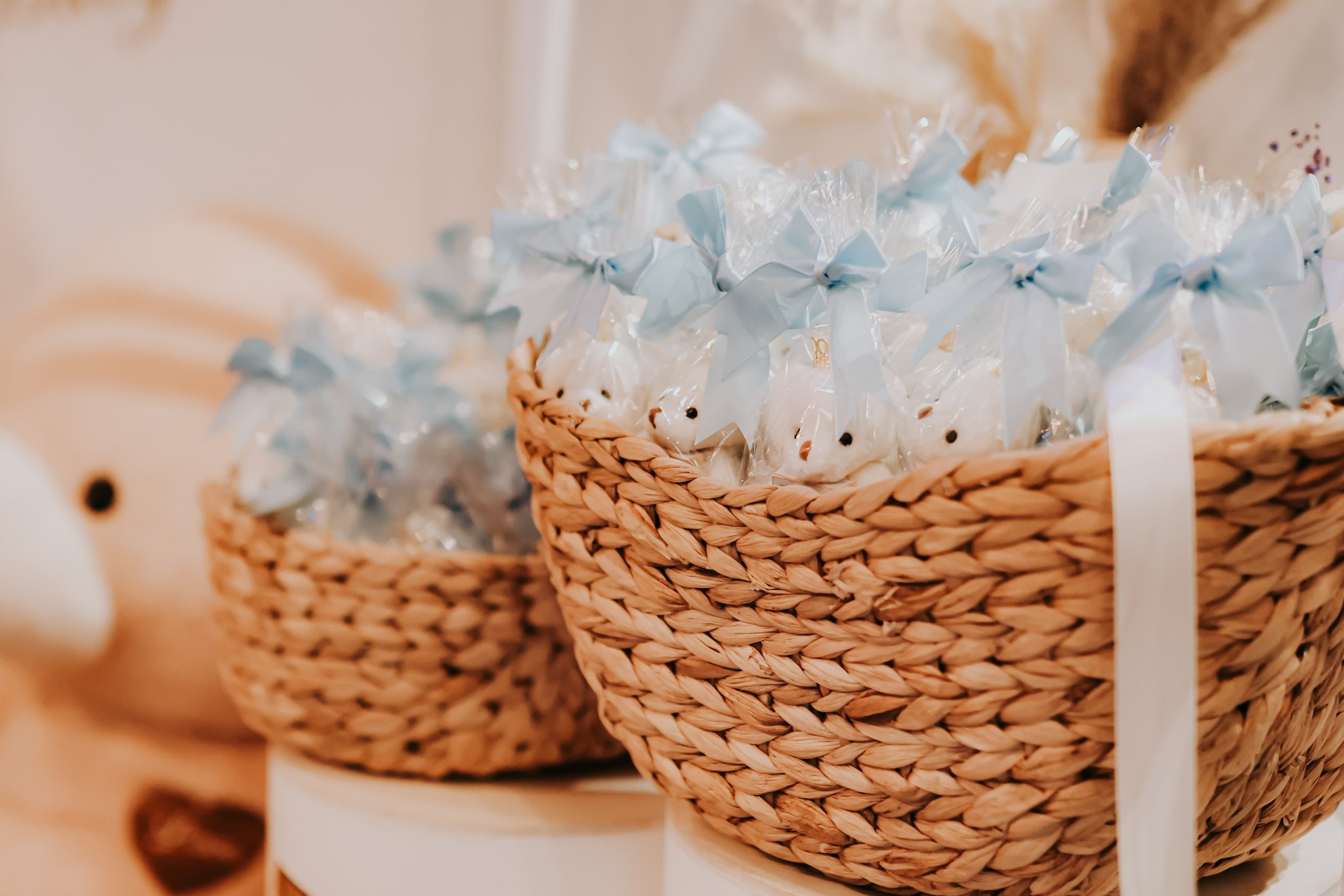 Pidyon Haben, Rishon LeZion | August 2025. Photographer in Israel Alice Milchin