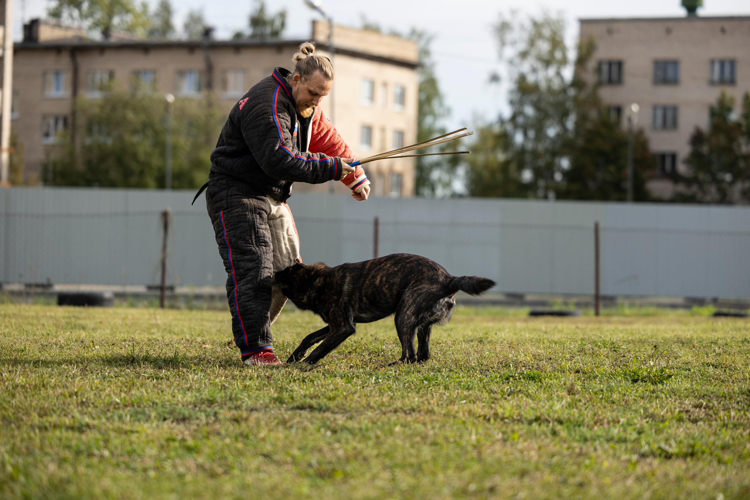 Испытания по Мондьорингу г. Пушкин. Фотограф-анималист Анна Маринич