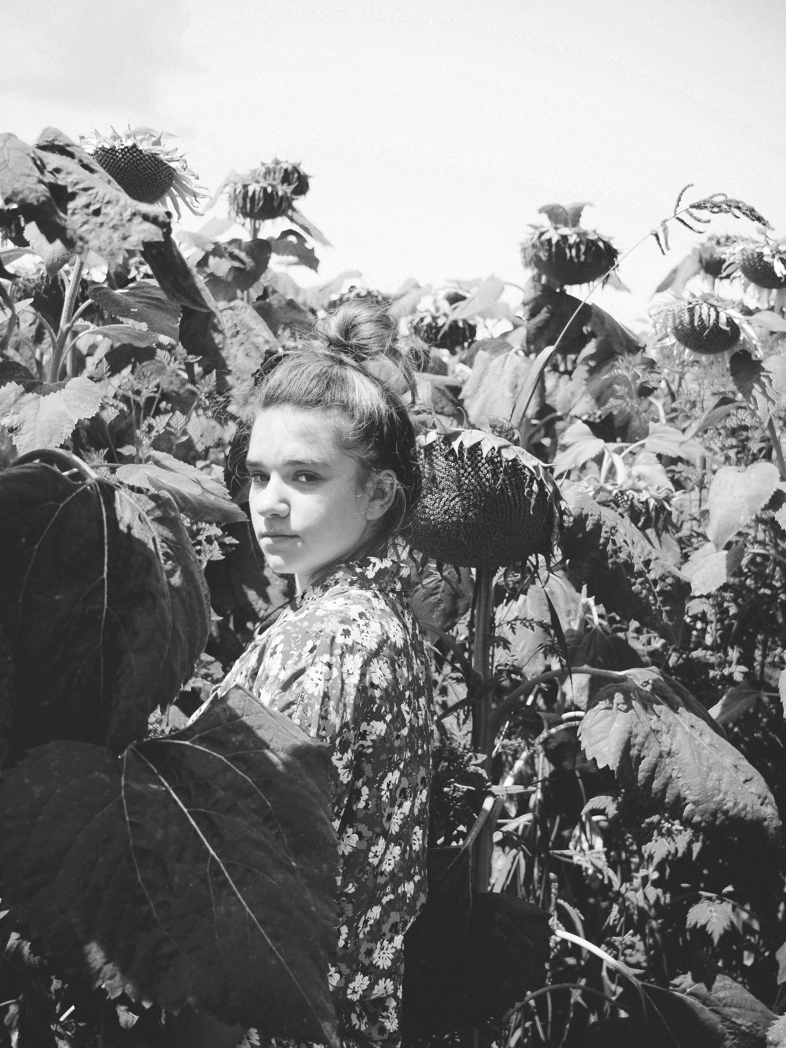 Поле подсолнухов. Foto-creator Alisa Zobova