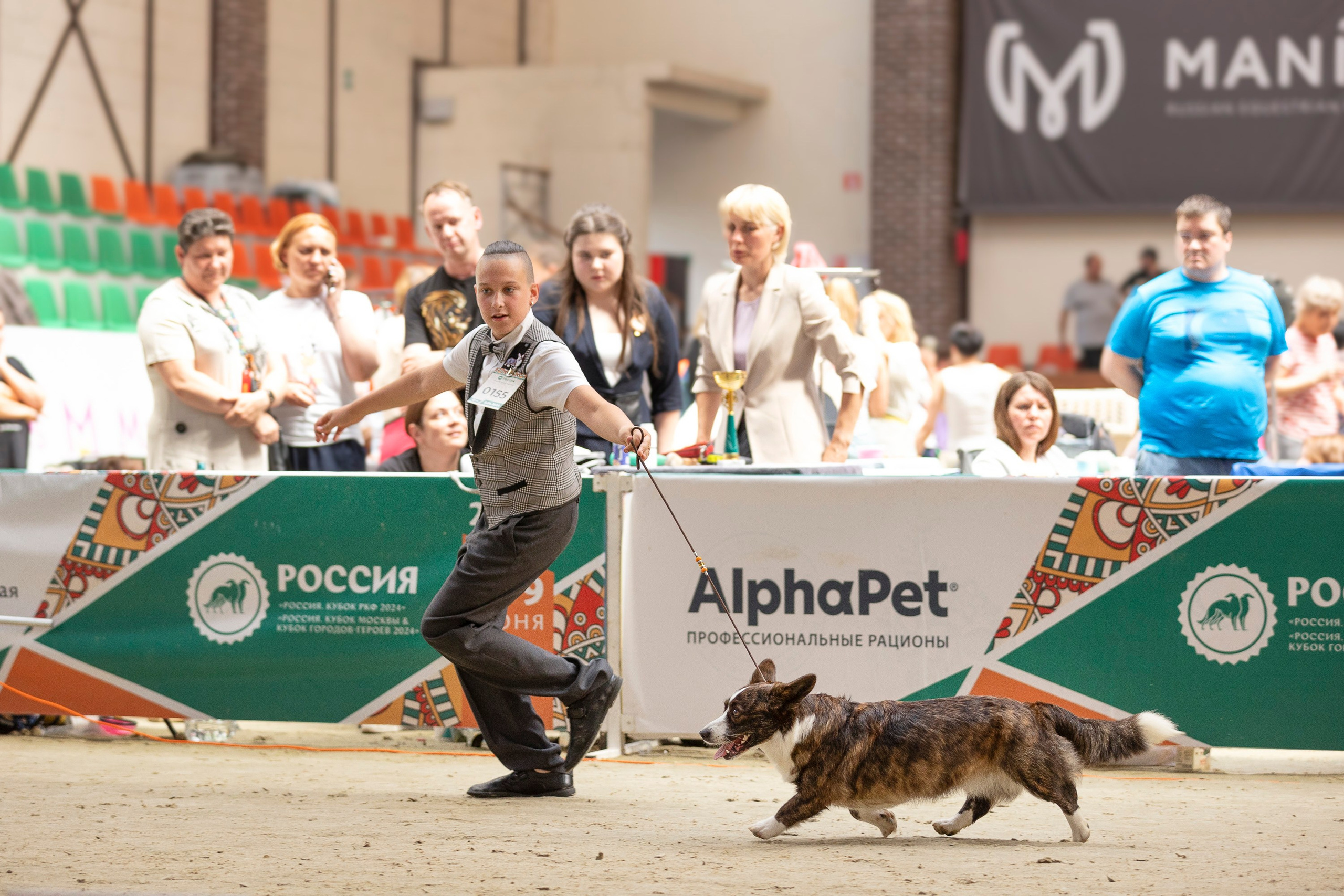 Россия 2024. Фотограф анималист, семейный фотограф, фотограф собак Комратова Мария. г. Москва