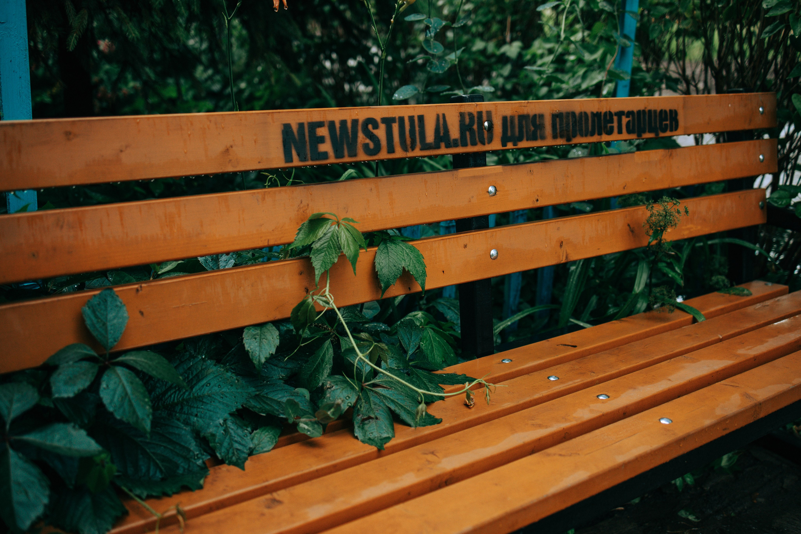 Дождливое лето. Свадебный и семейный фотограф в Туле и области Маша Костина