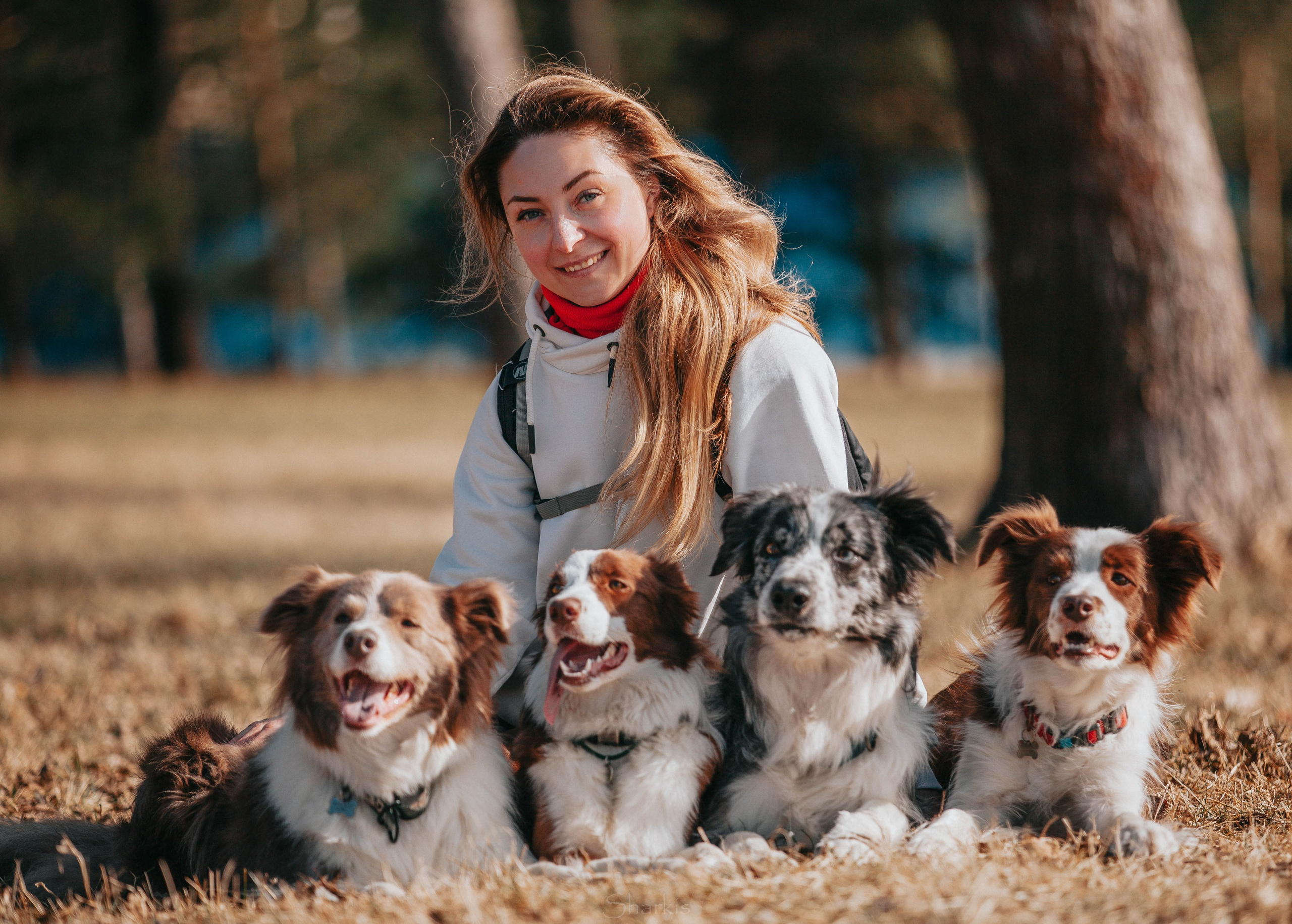 Бордюха, Лора, Берта, Мета. Главная