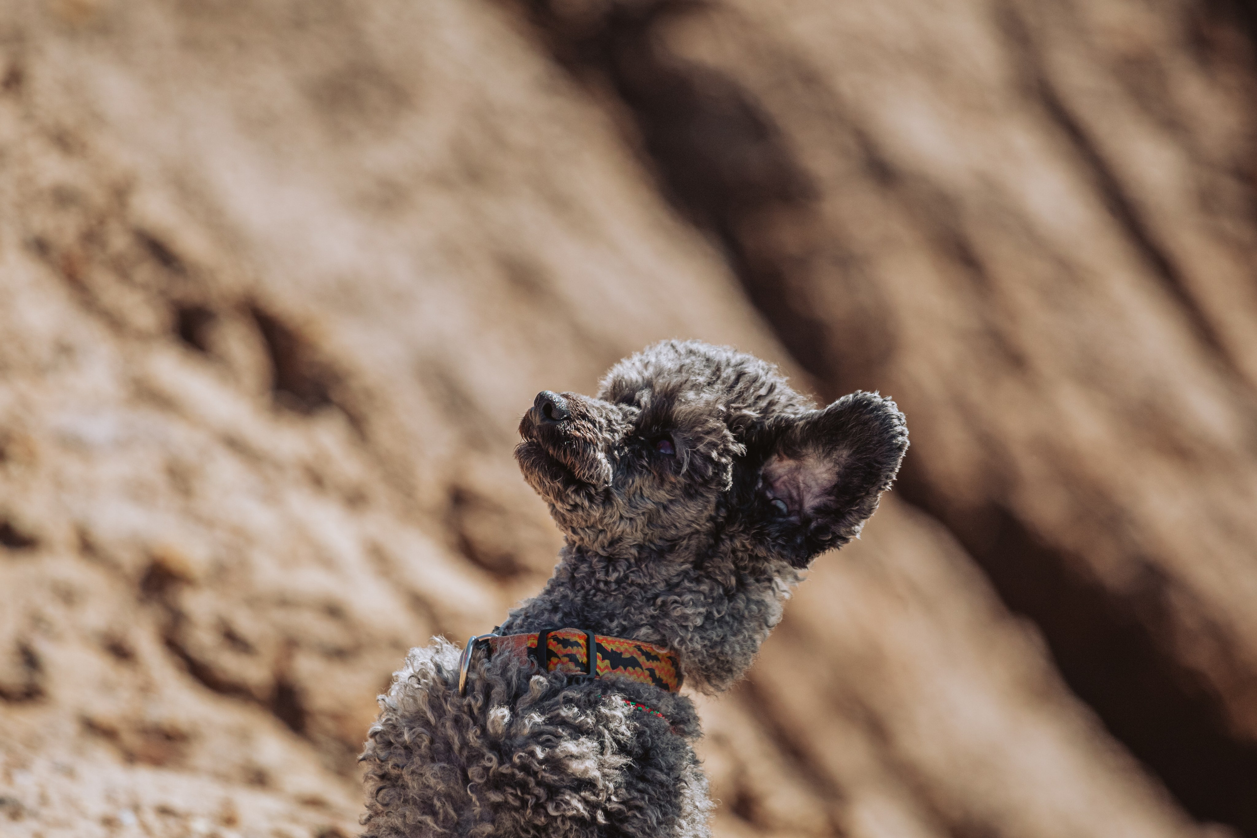 Кондуки. Фотограф-анималист Татьяна Степанова