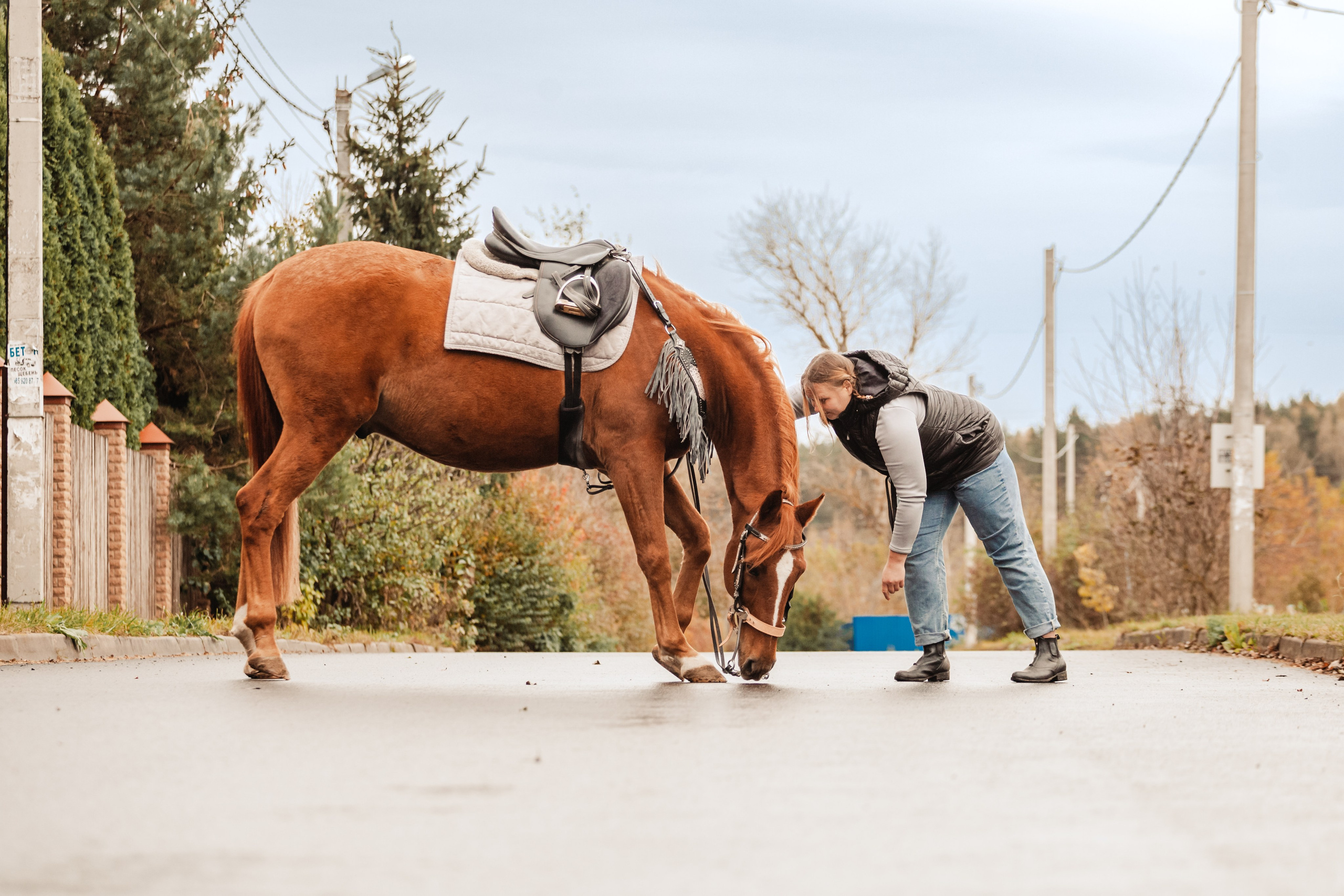 Лена и Рэджи. Фотограф-анималист Татьяна Степанова