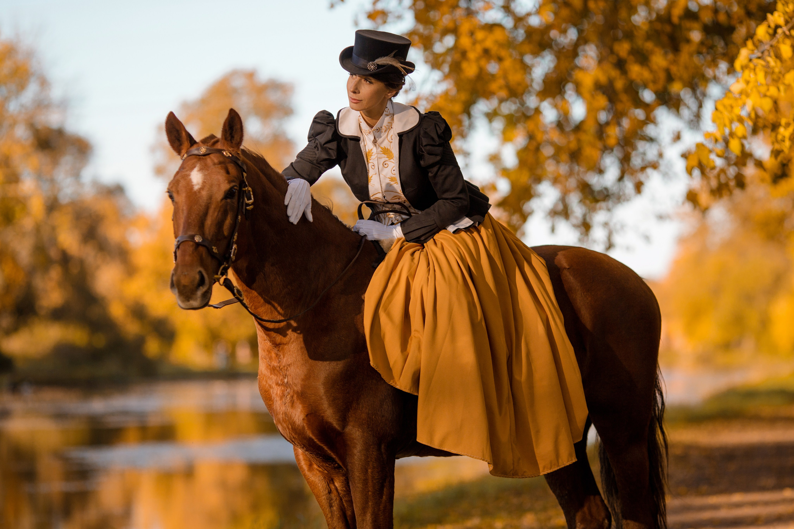 Фотосессия в историческом стиле с борзыми