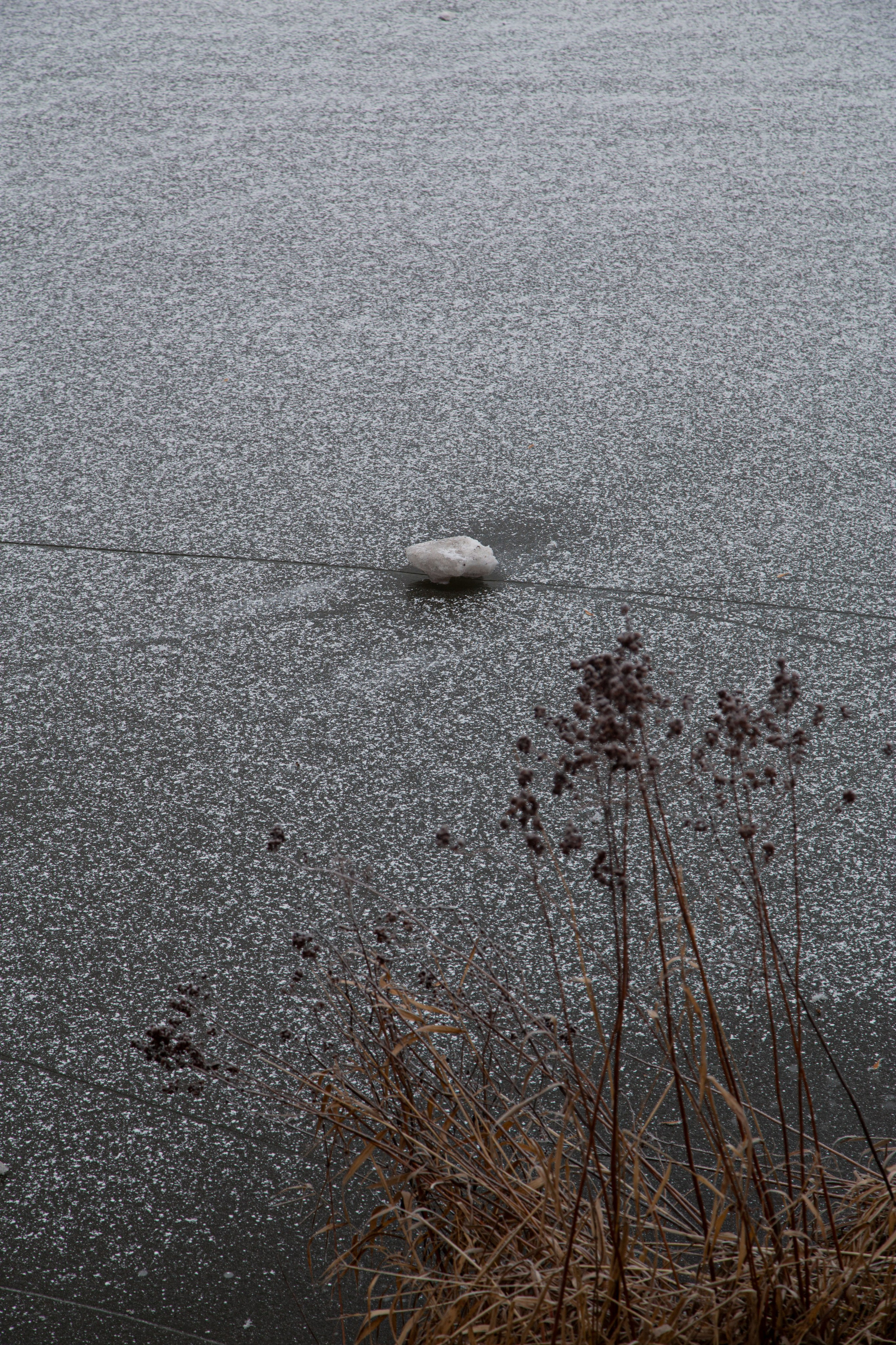 Воздух февраля. Dmitriy [KCCC] is a pretty cool photographer