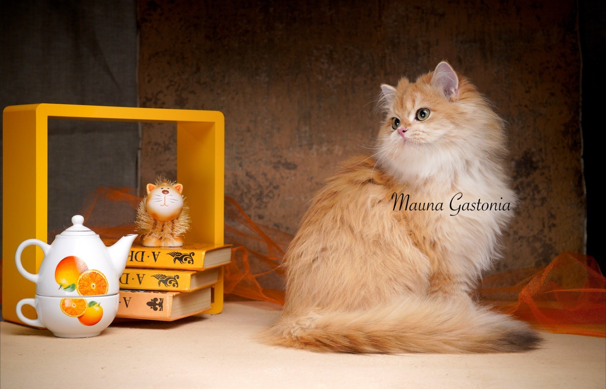 Germes. Mauna Gastonia