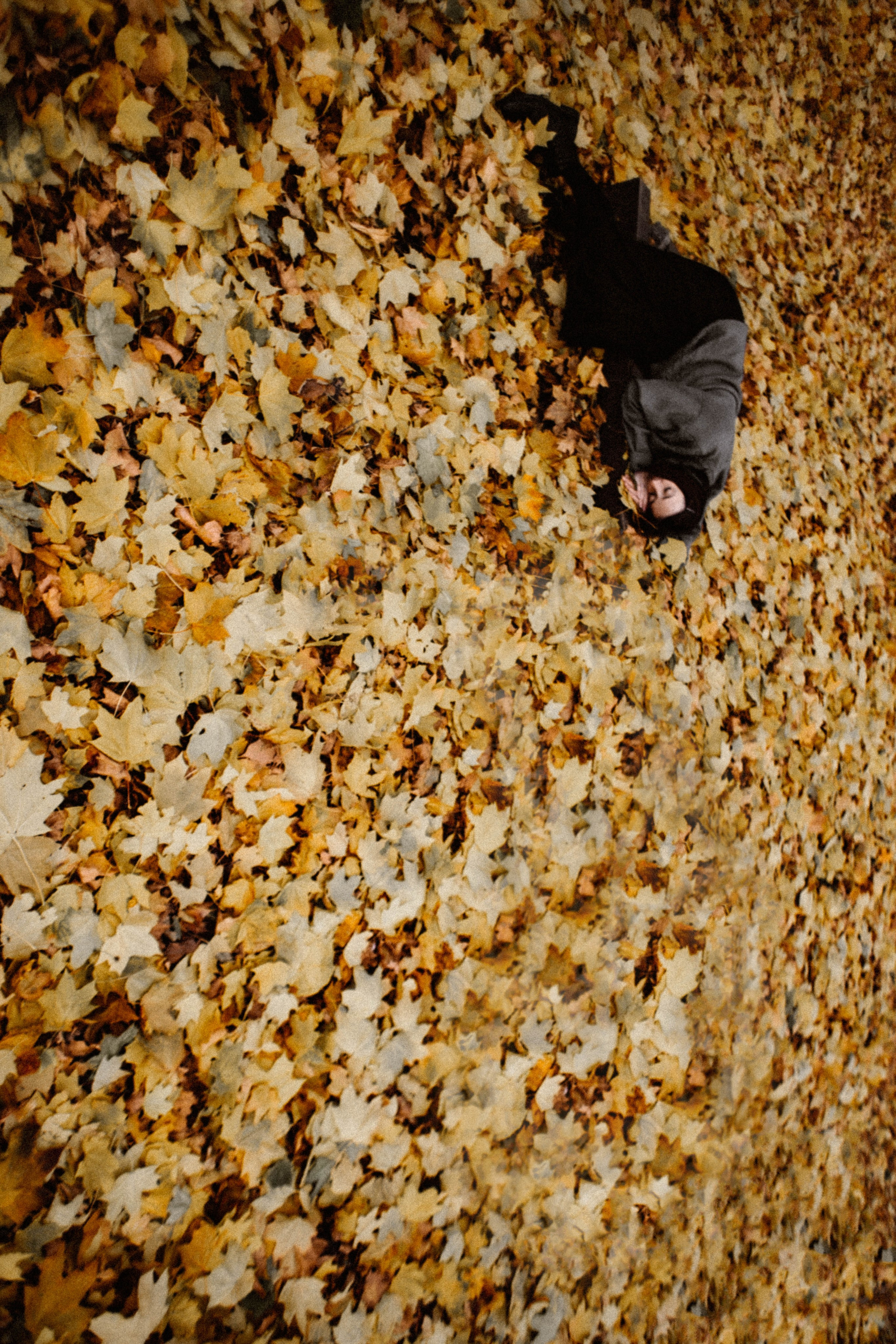 Лейтмотив осени. Аня. Фотограф в Нижнем Новгороде