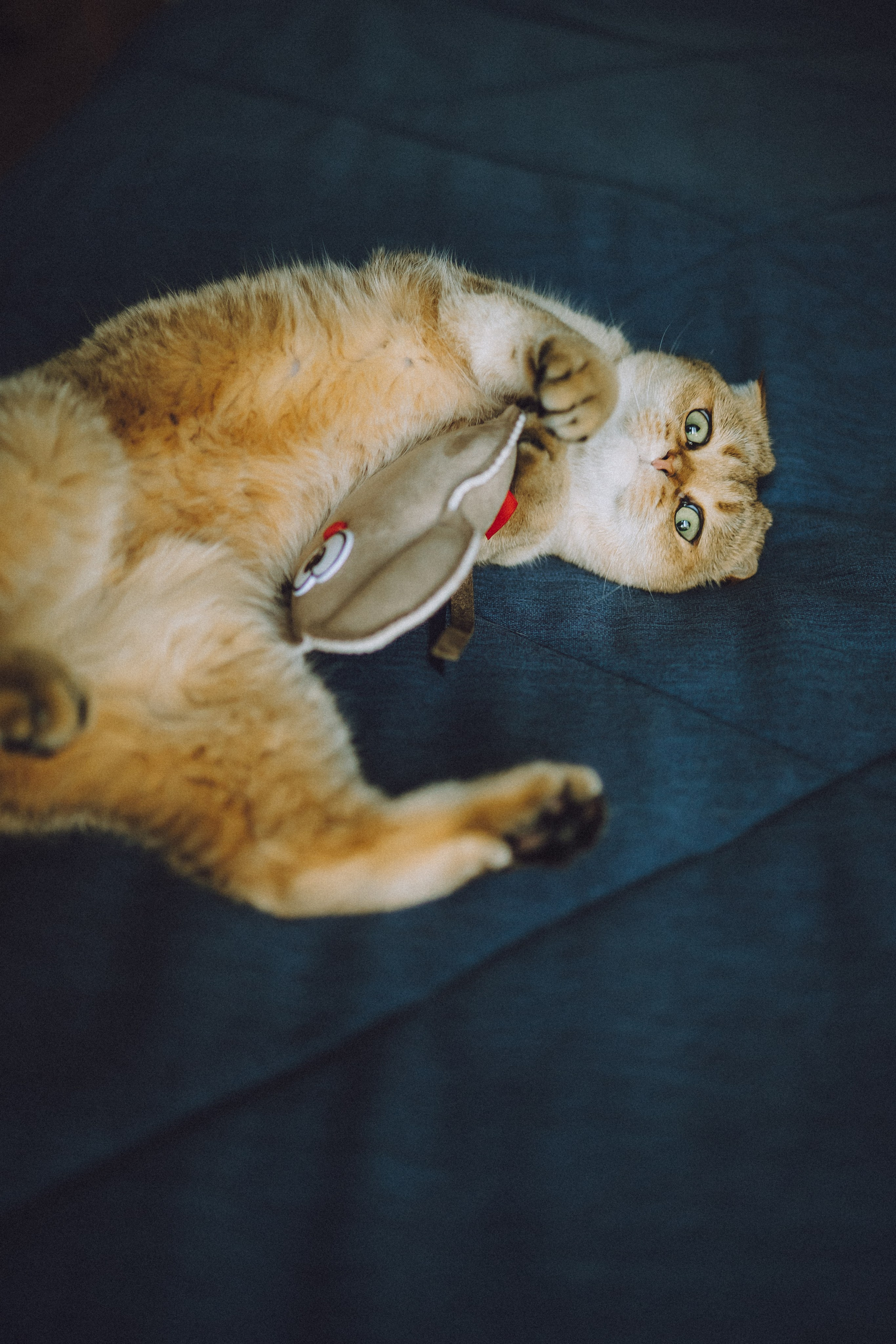 Генри и его семья